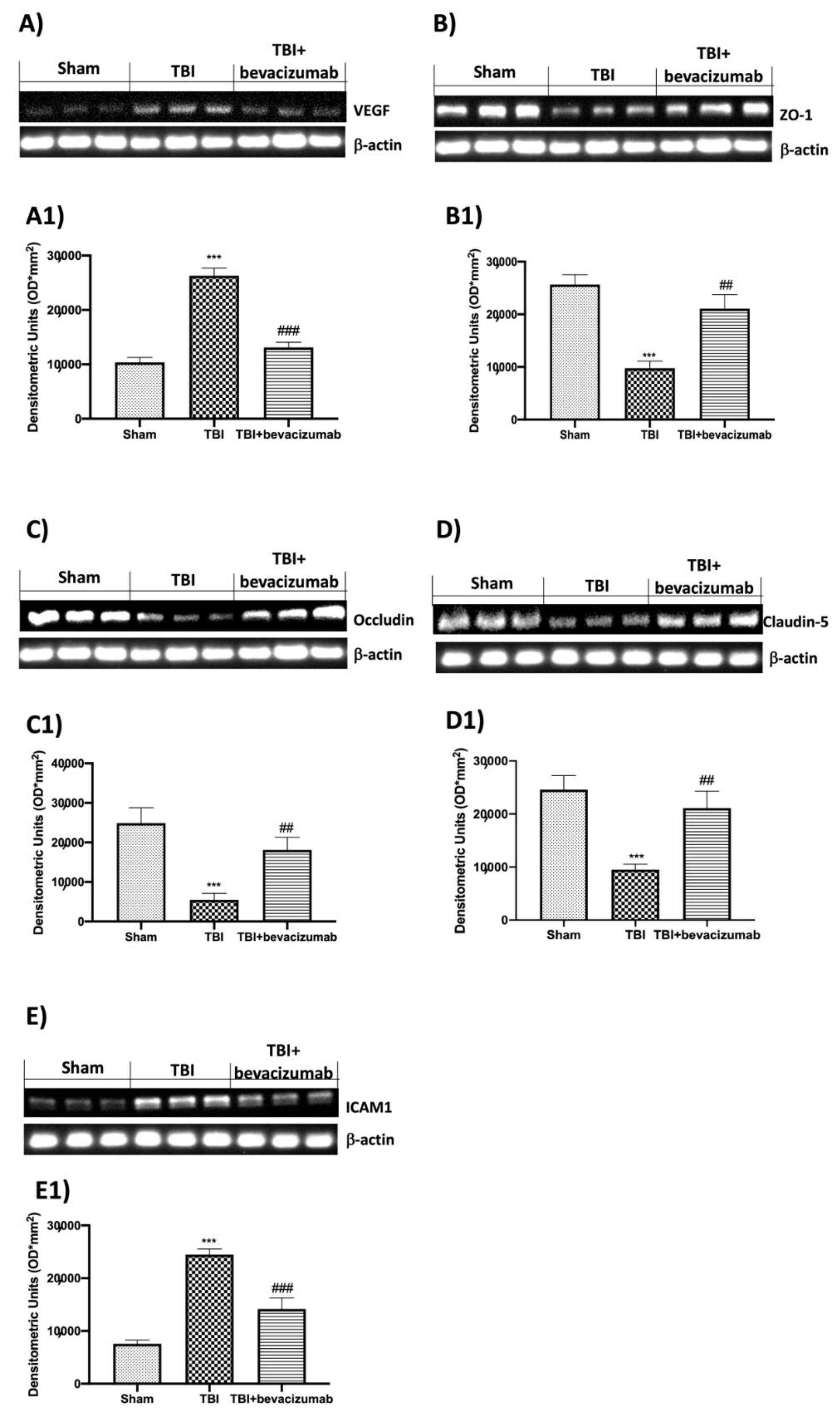 Ijms 23 04162 g003 550