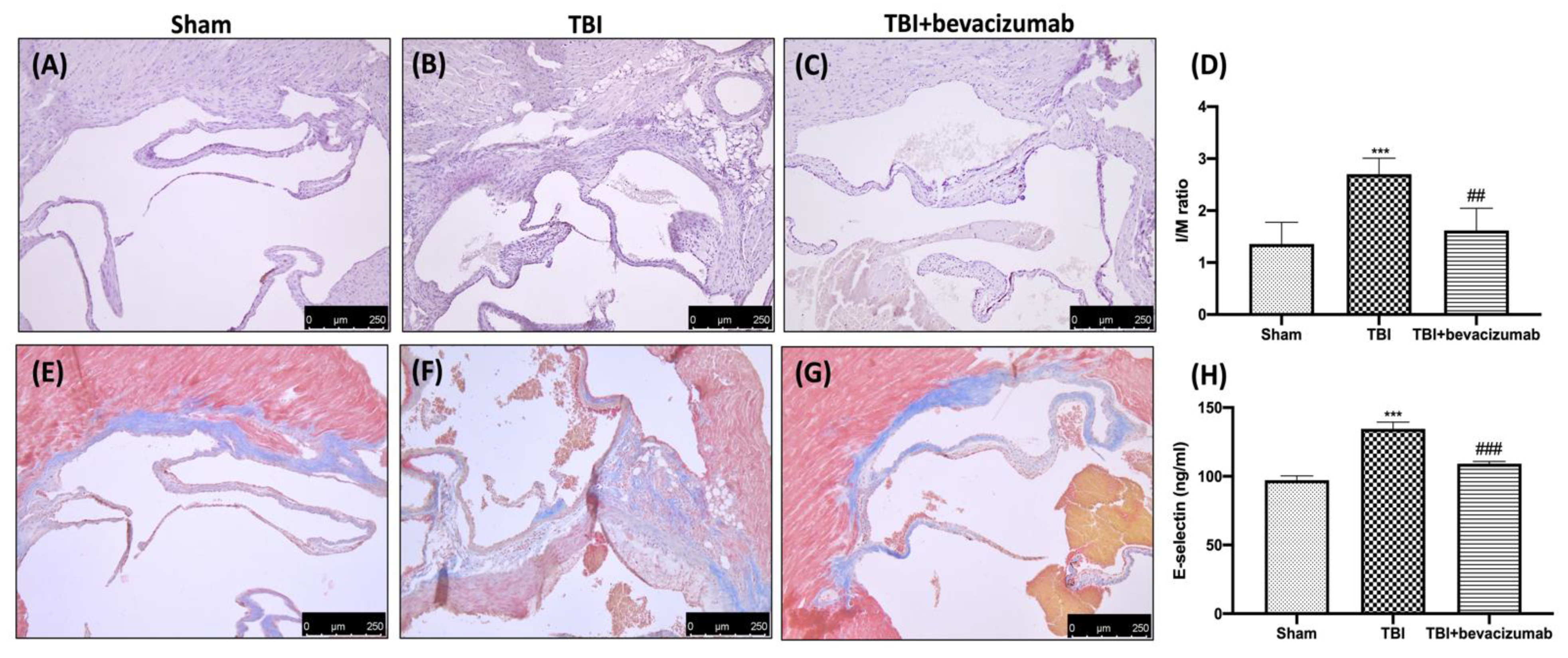 Ijms 23 04162 g008 550