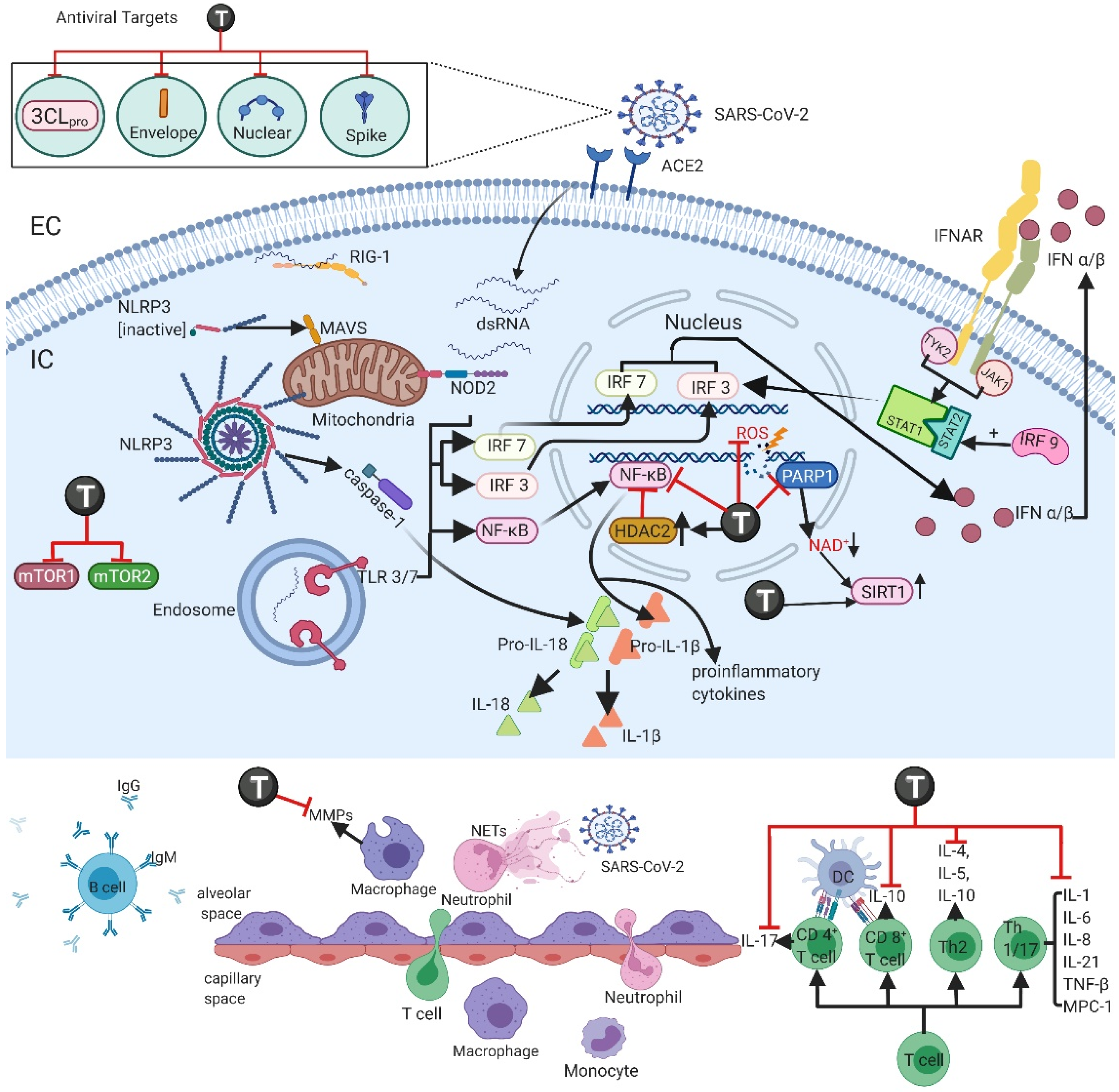 Ijms 23 04167 g001 Ijms 23 04167 g001