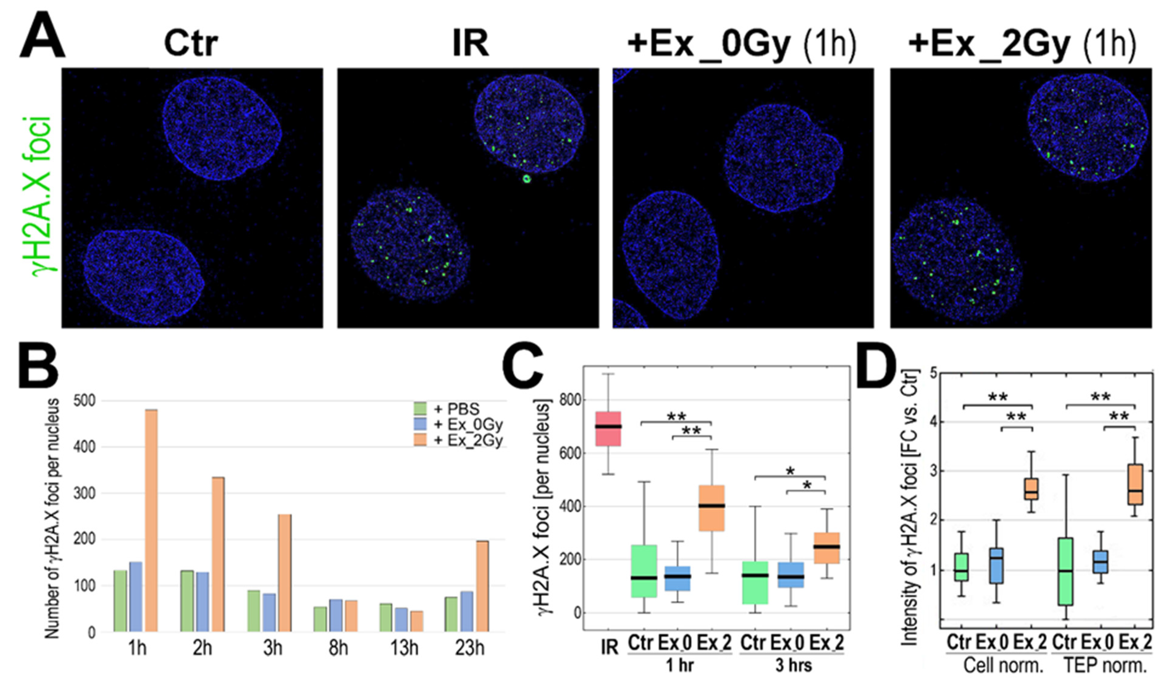 Ijms 23 04169 g002 550