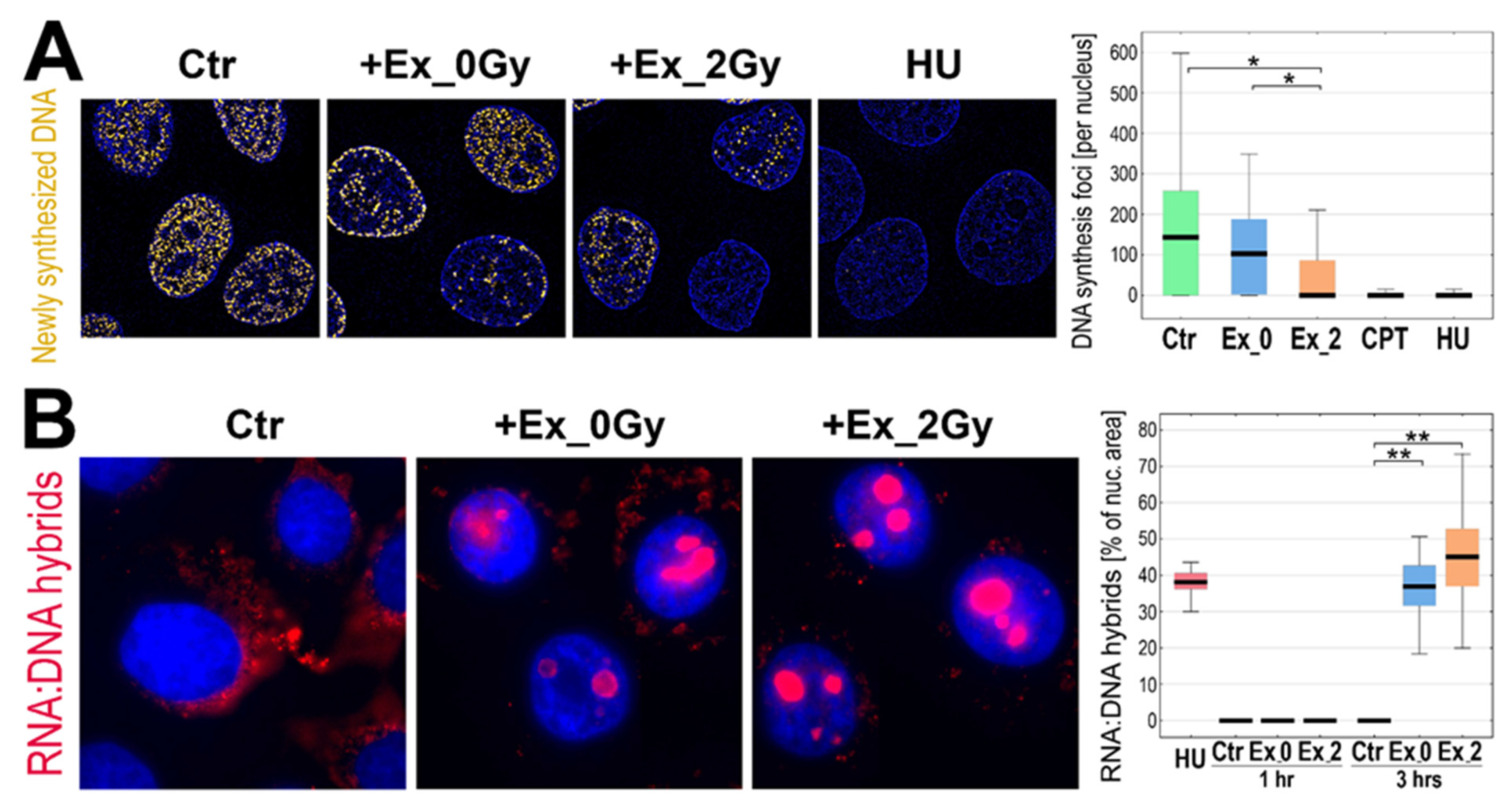 Ijms 23 04169 g004 550