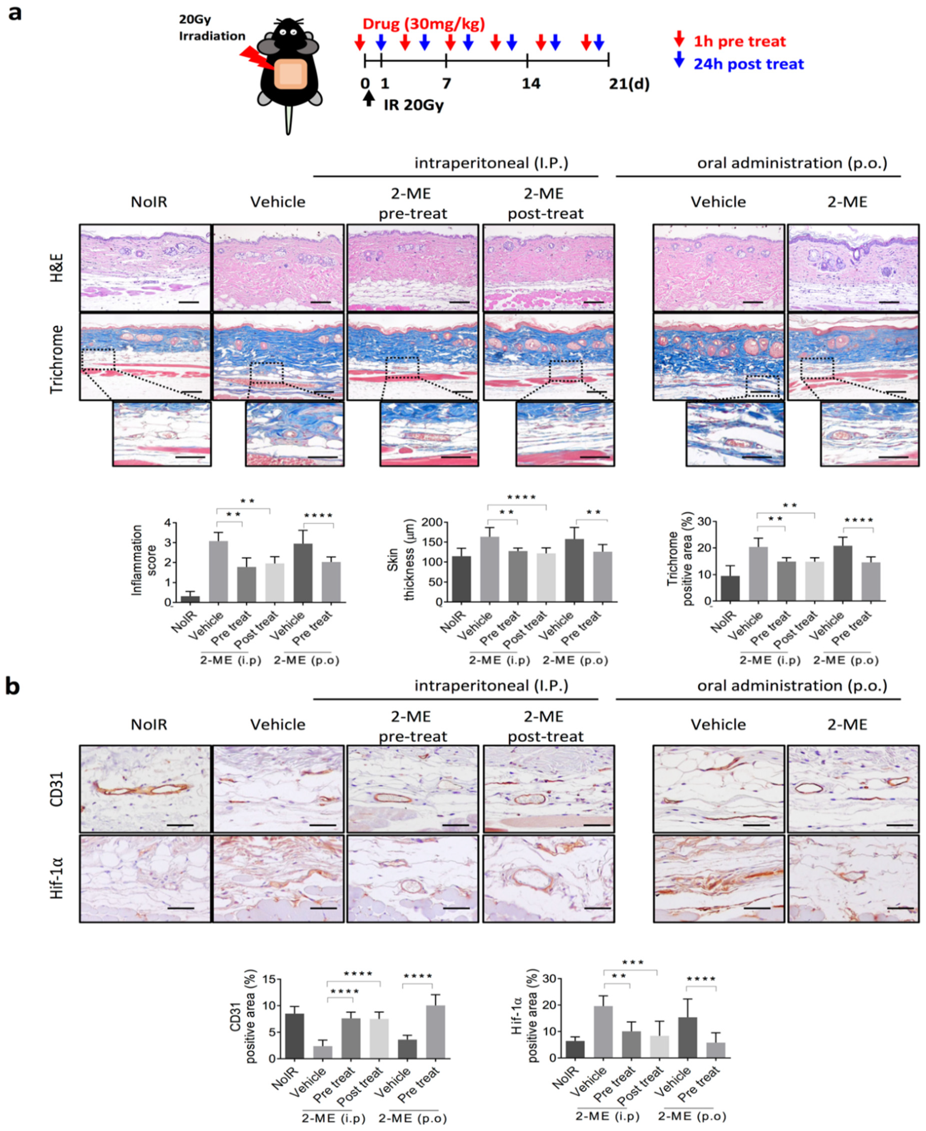 Ijms 23 04171 g001 550