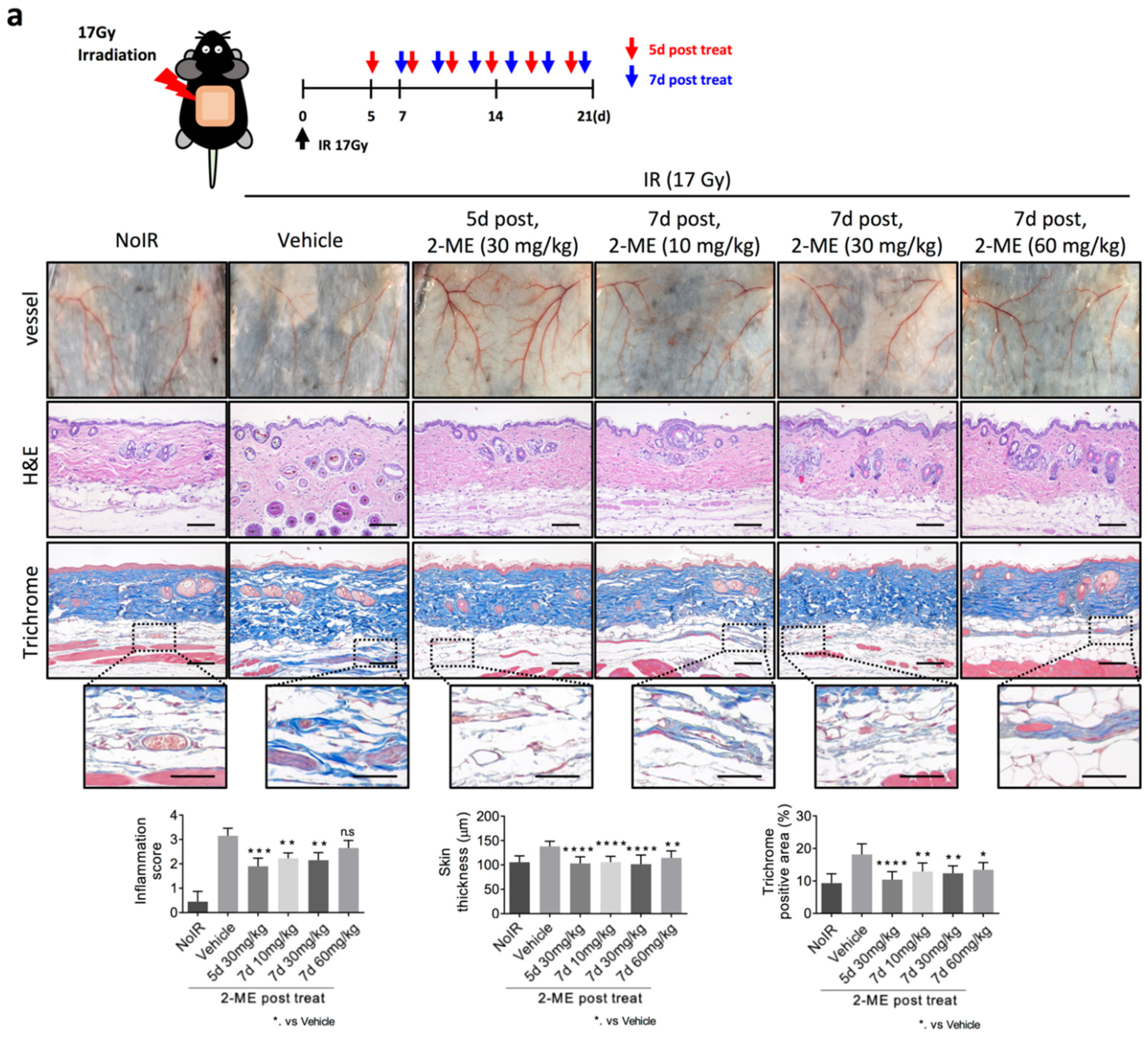 Ijms 23 04171 g002a 550