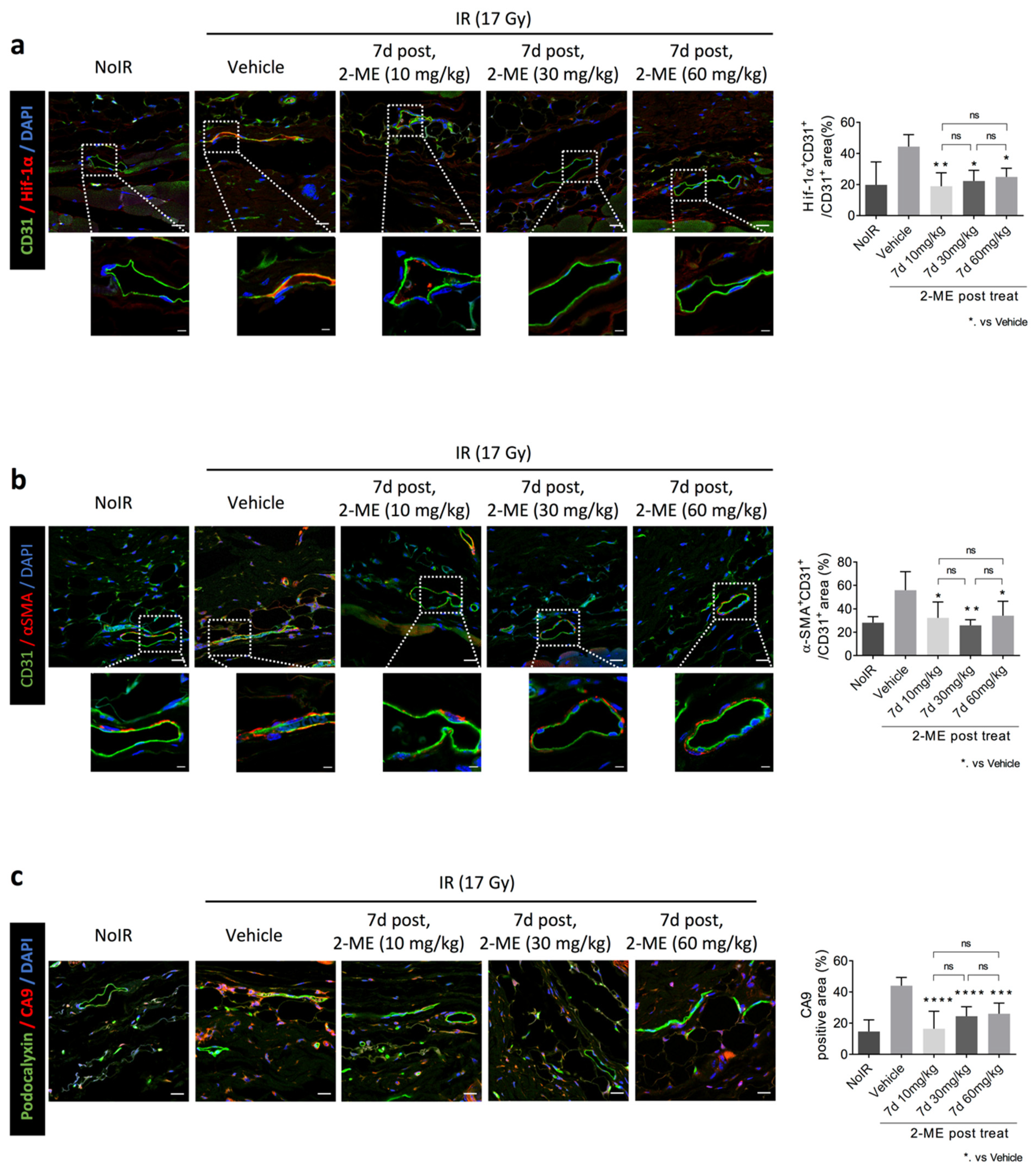 Ijms 23 04171 g003 550