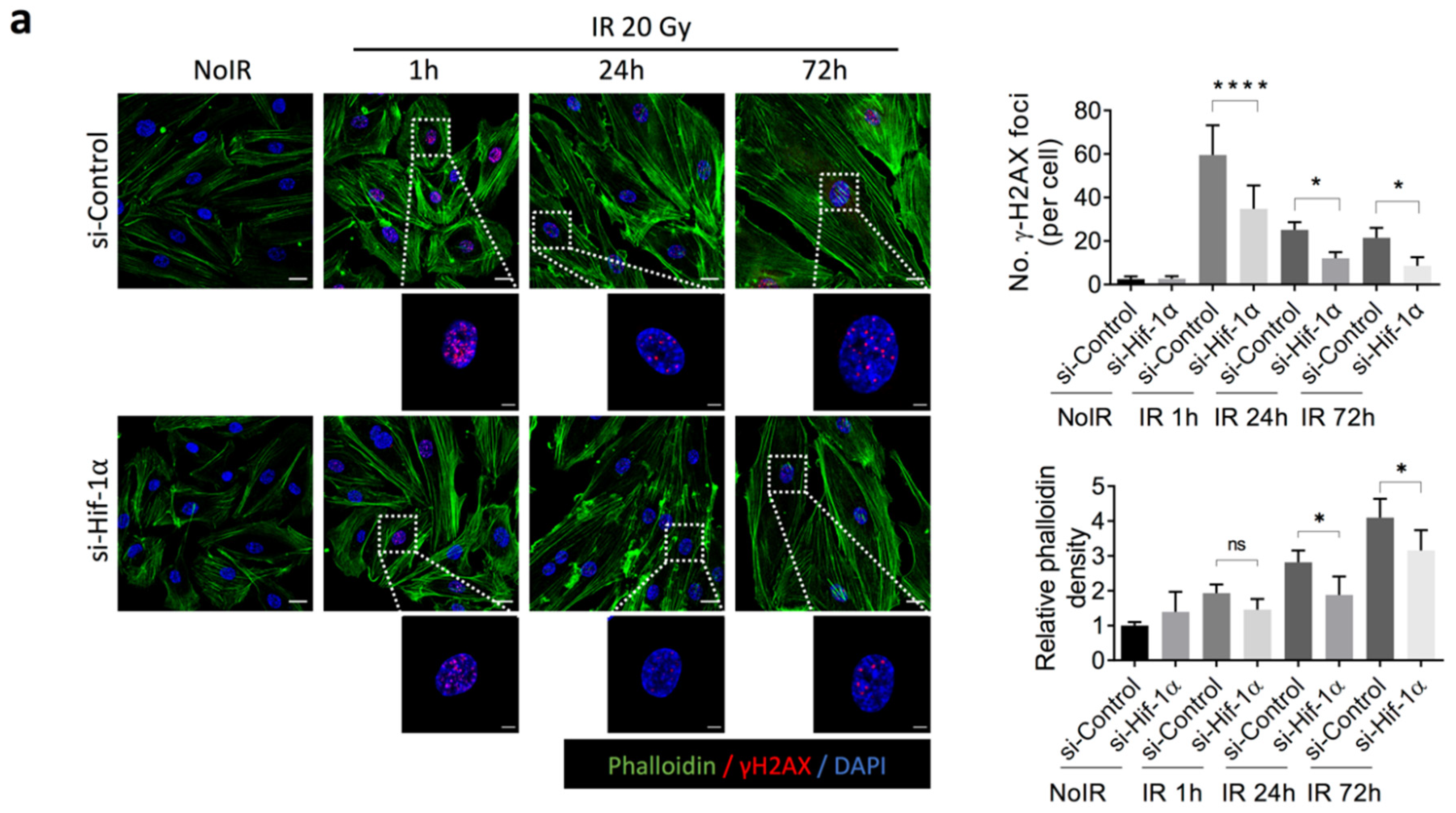 Ijms 23 04171 g004a 550