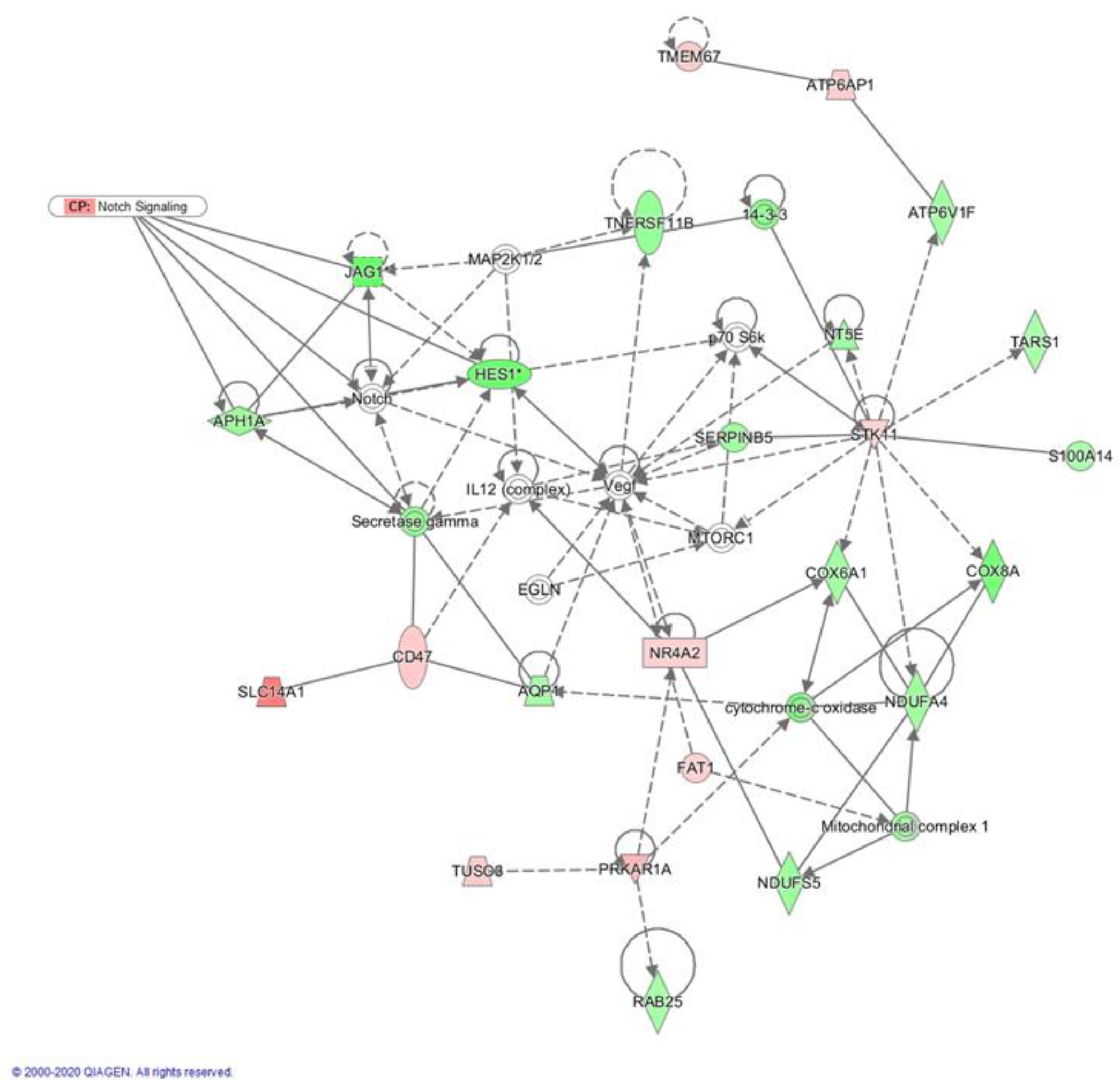 Ijms 23 04187 g003 550