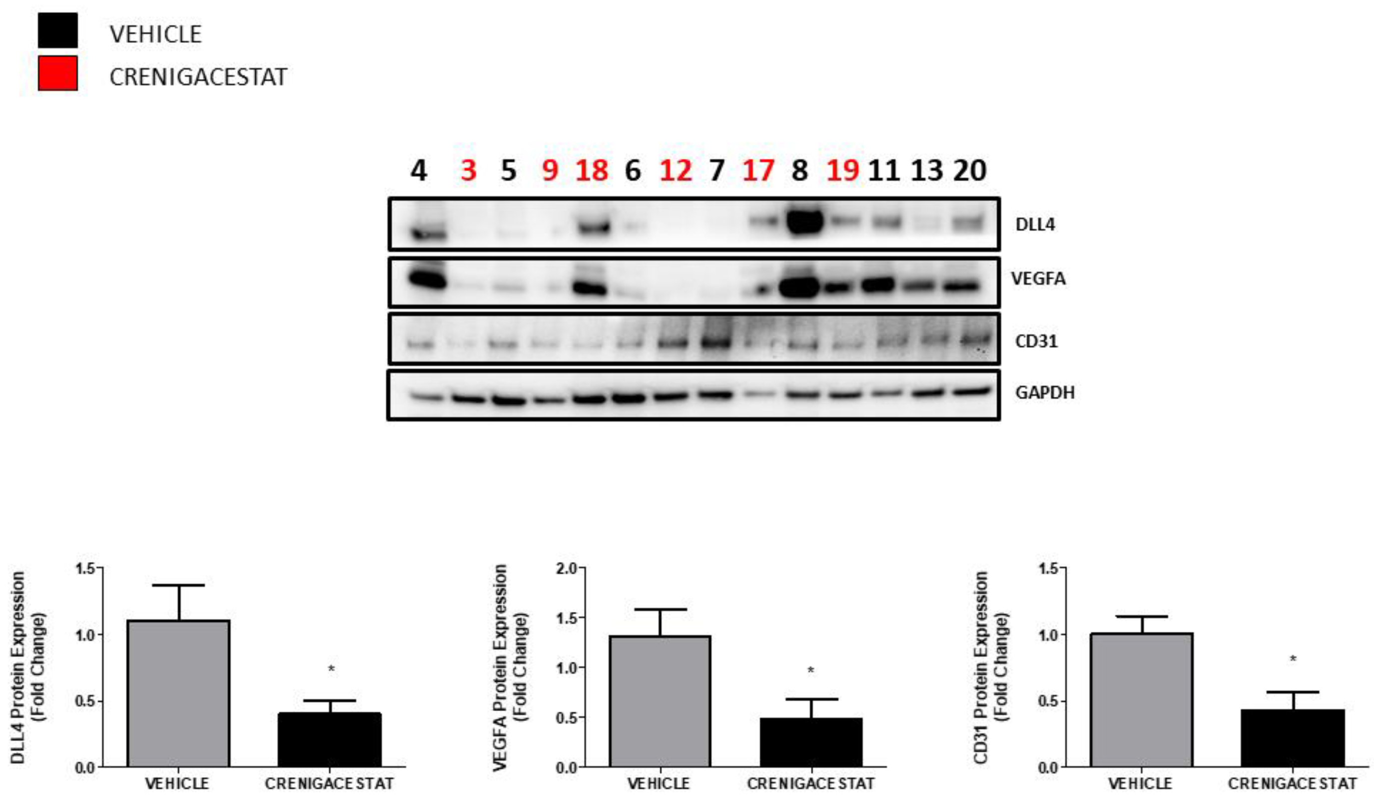 Ijms 23 04187 g005 550