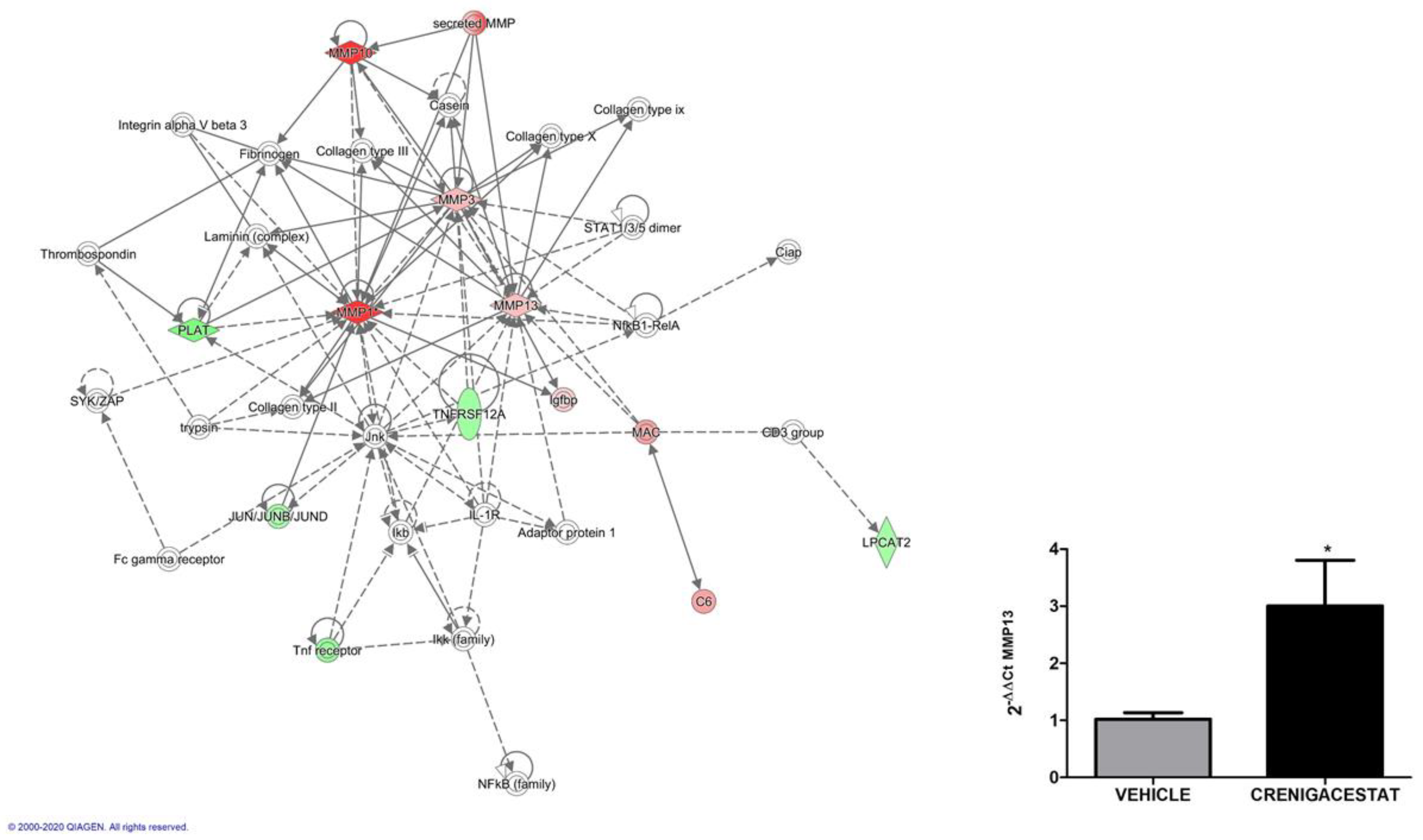 Ijms 23 04187 g006 550