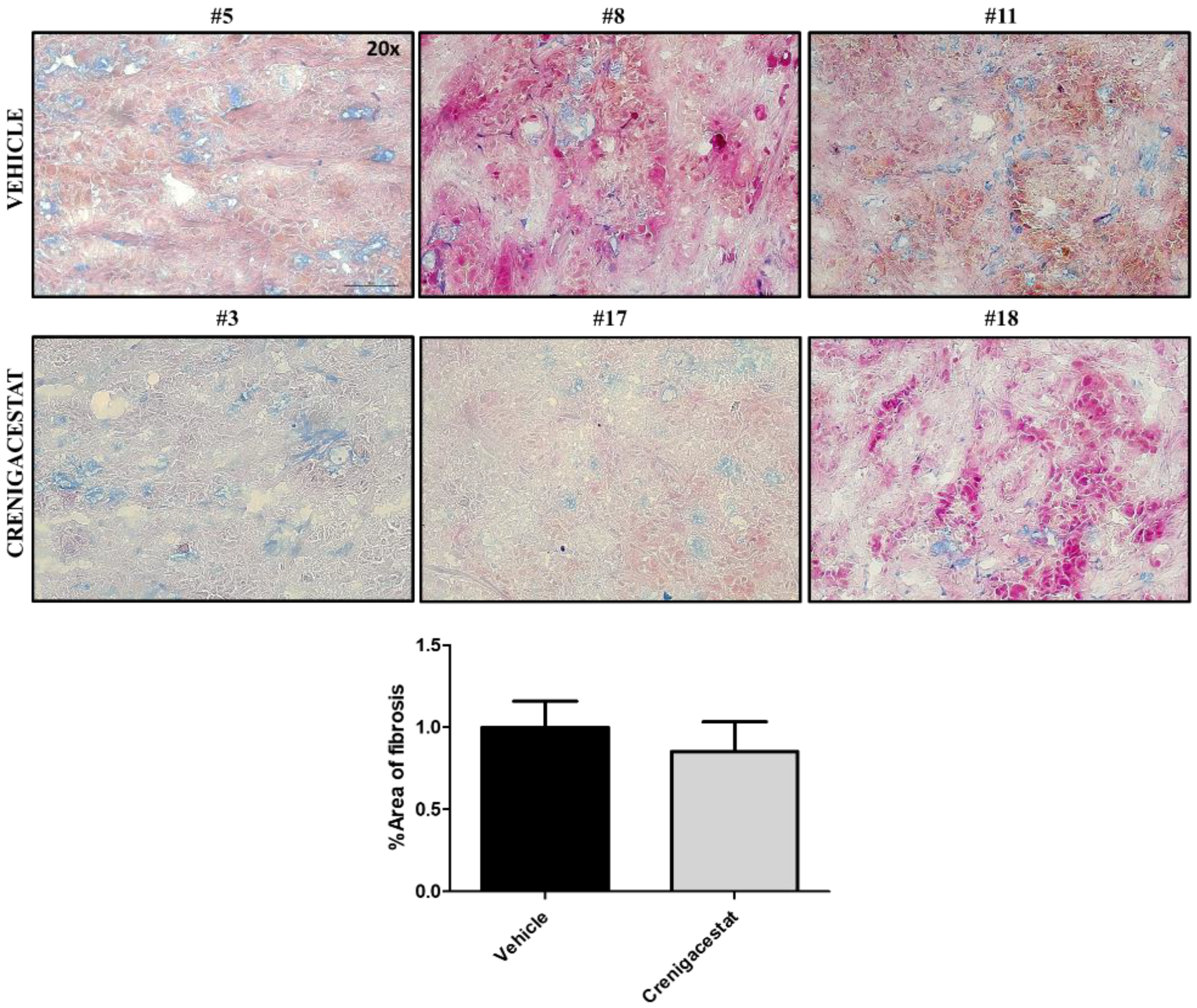 Ijms 23 04187 g007 550