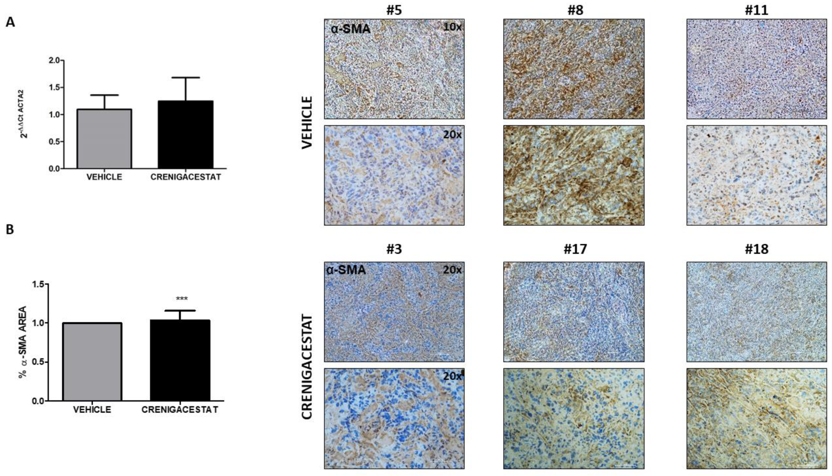 Ijms 23 04187 g008 550