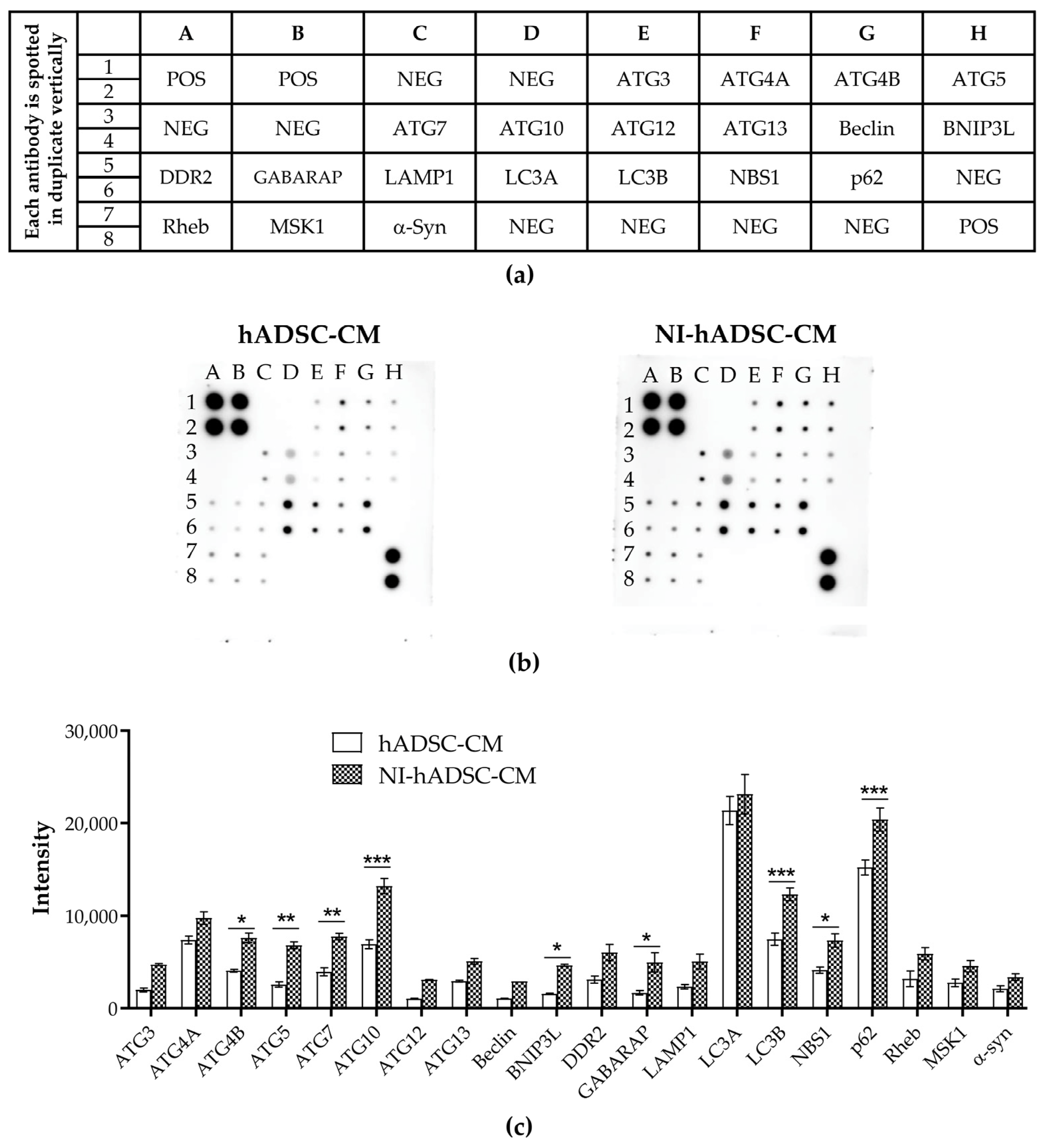 Ijms 23 04193 g008 550