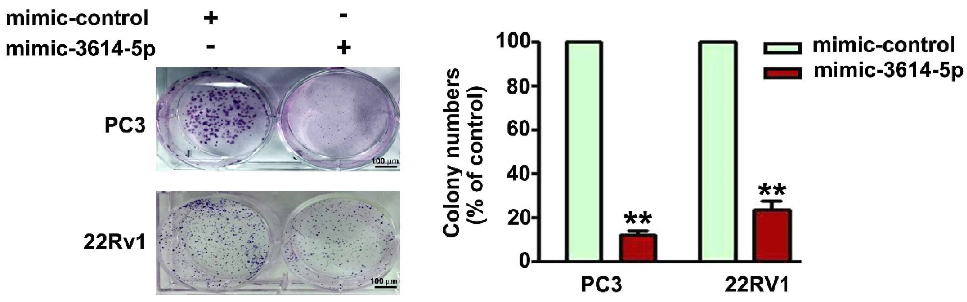 Ijms 23 04194 g002 550