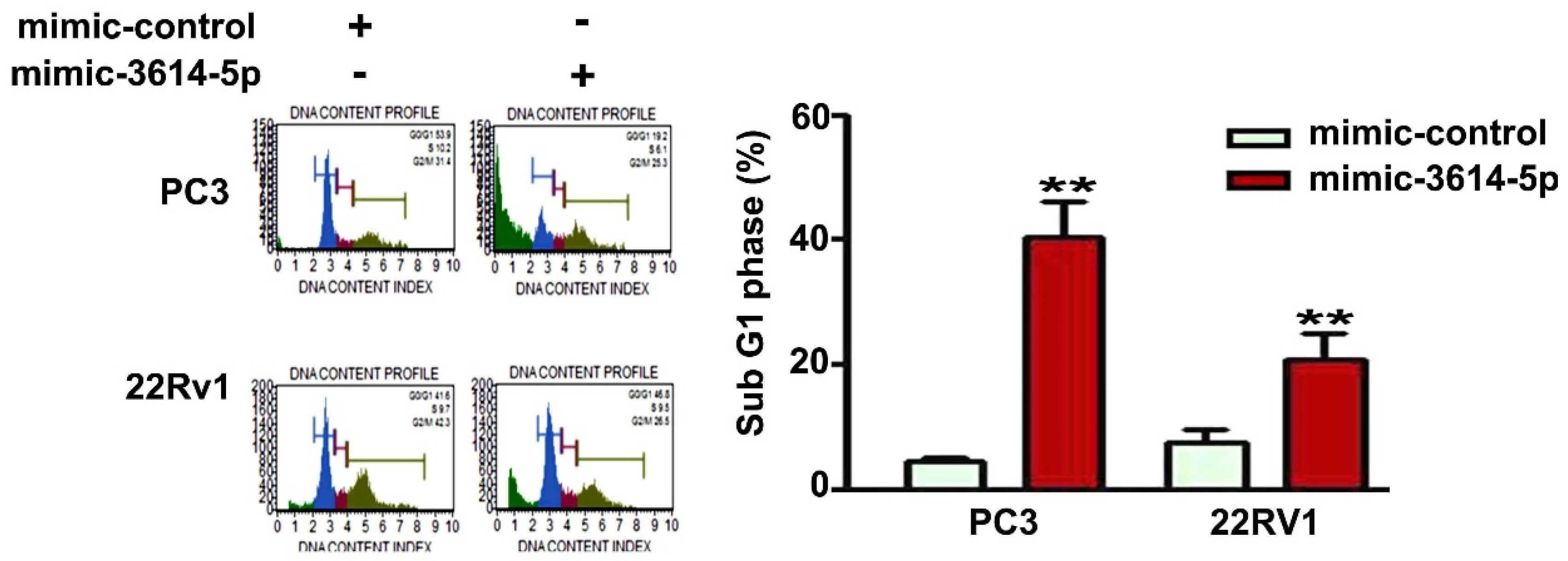Ijms 23 04194 g003 550