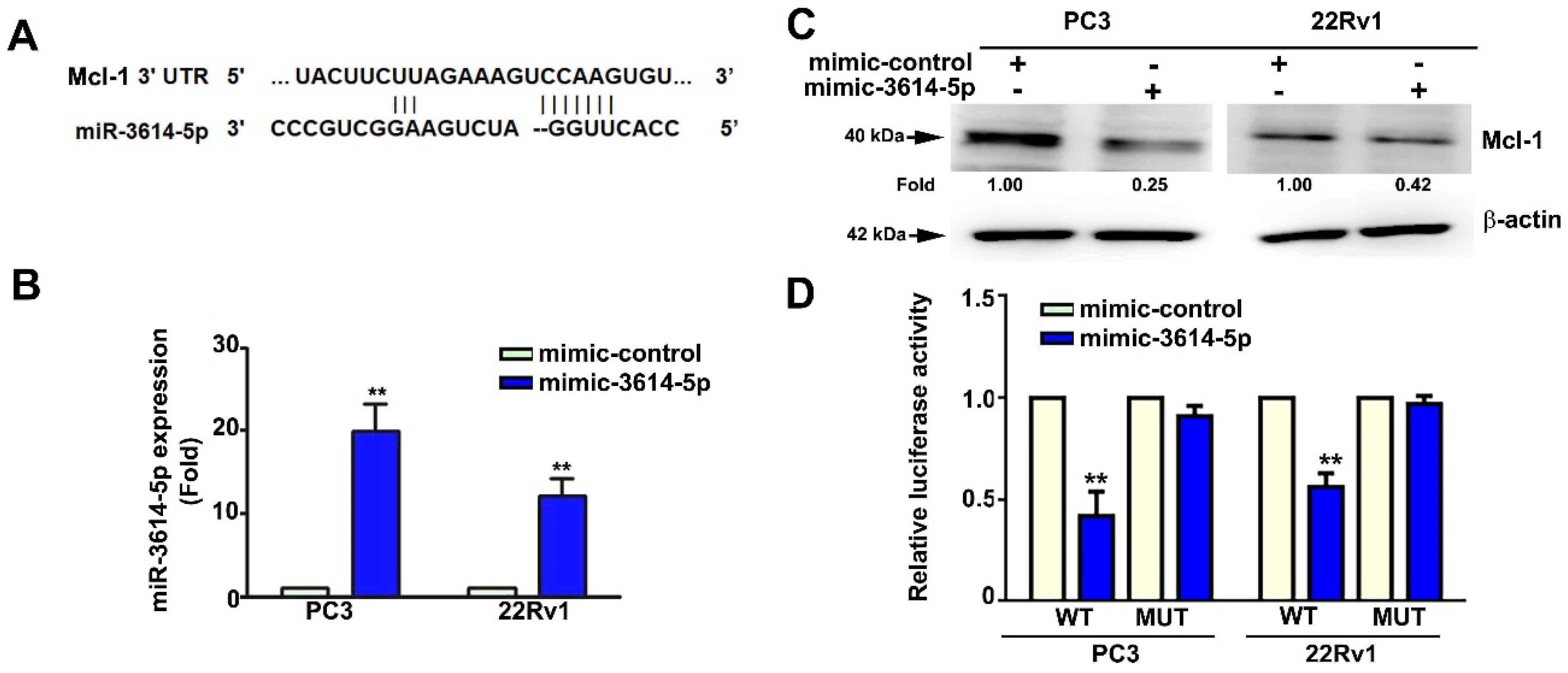 Ijms 23 04194 g005 550