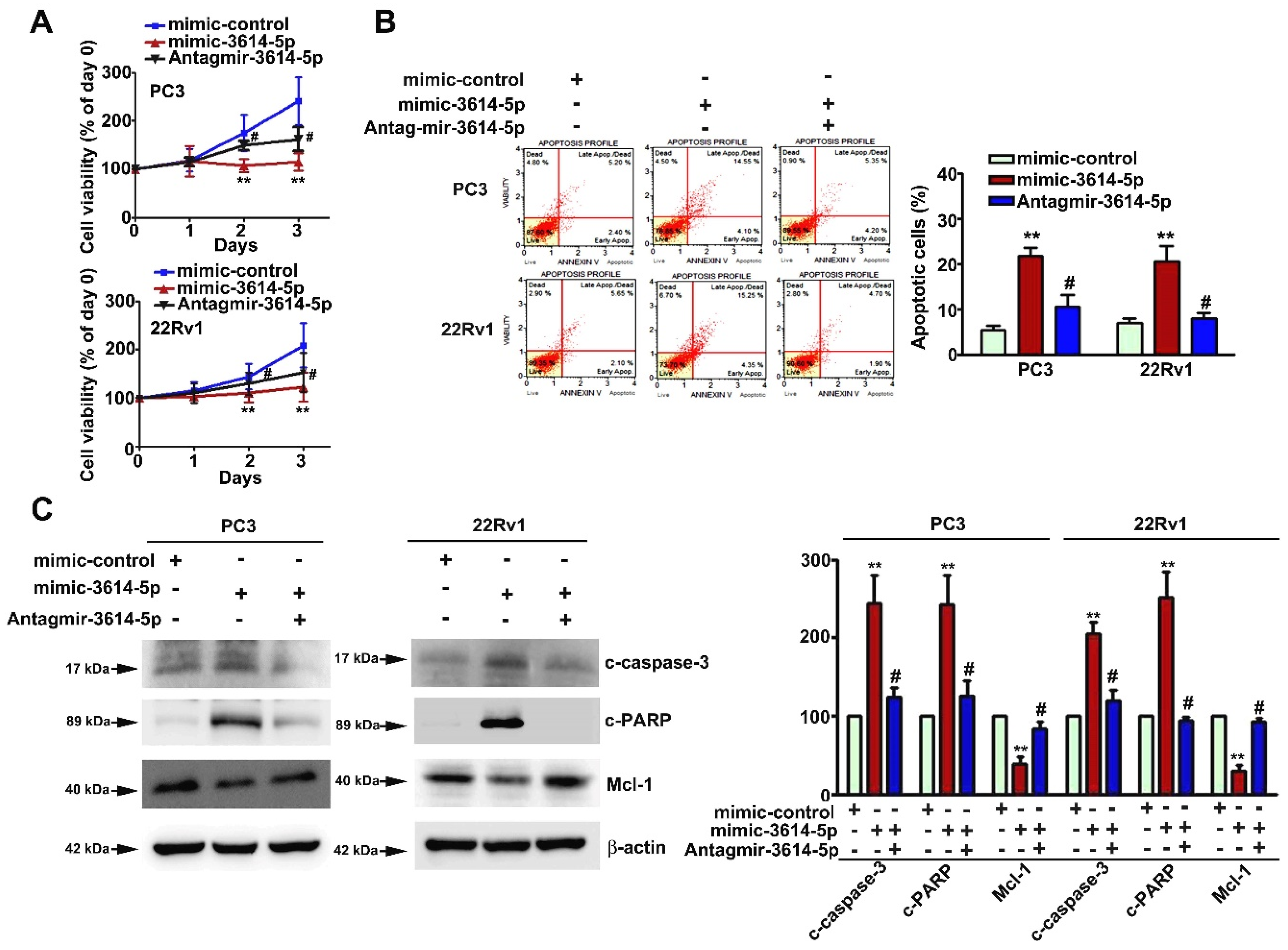 Ijms 23 04194 g006 550