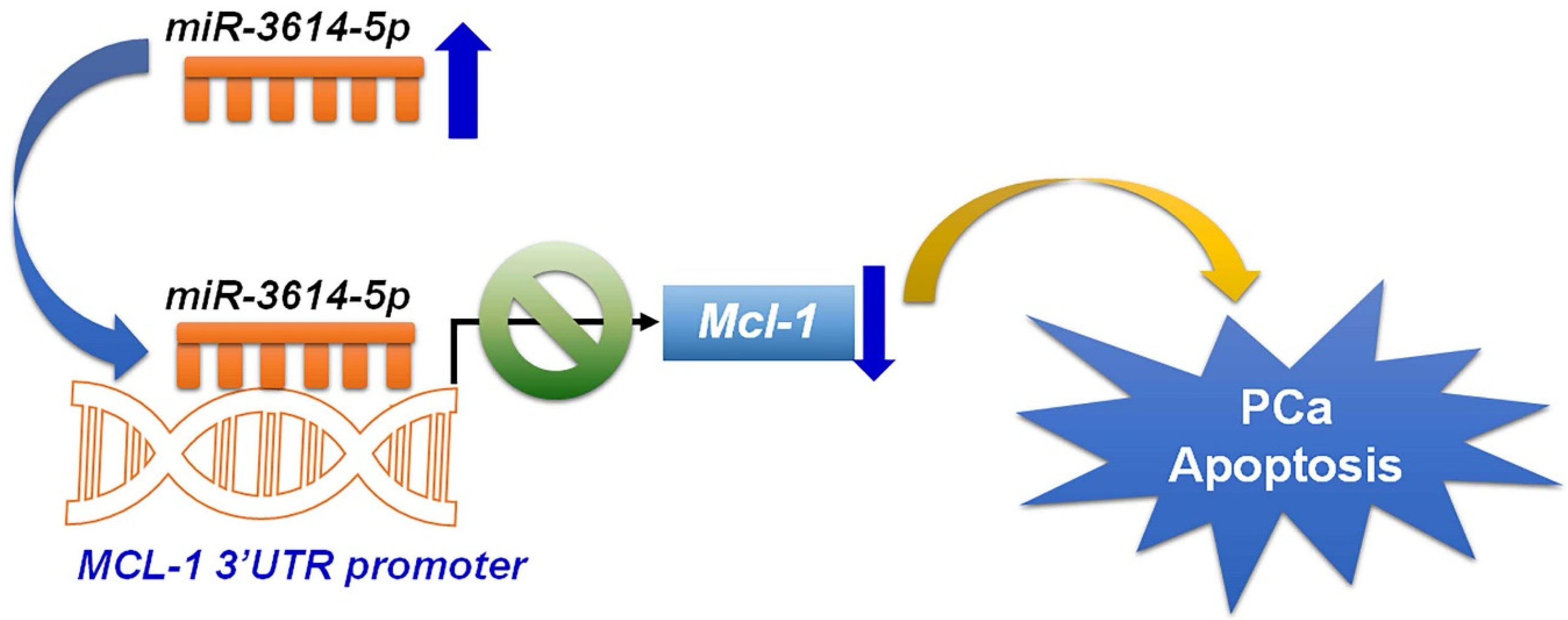 Ijms 23 04194 g007 550