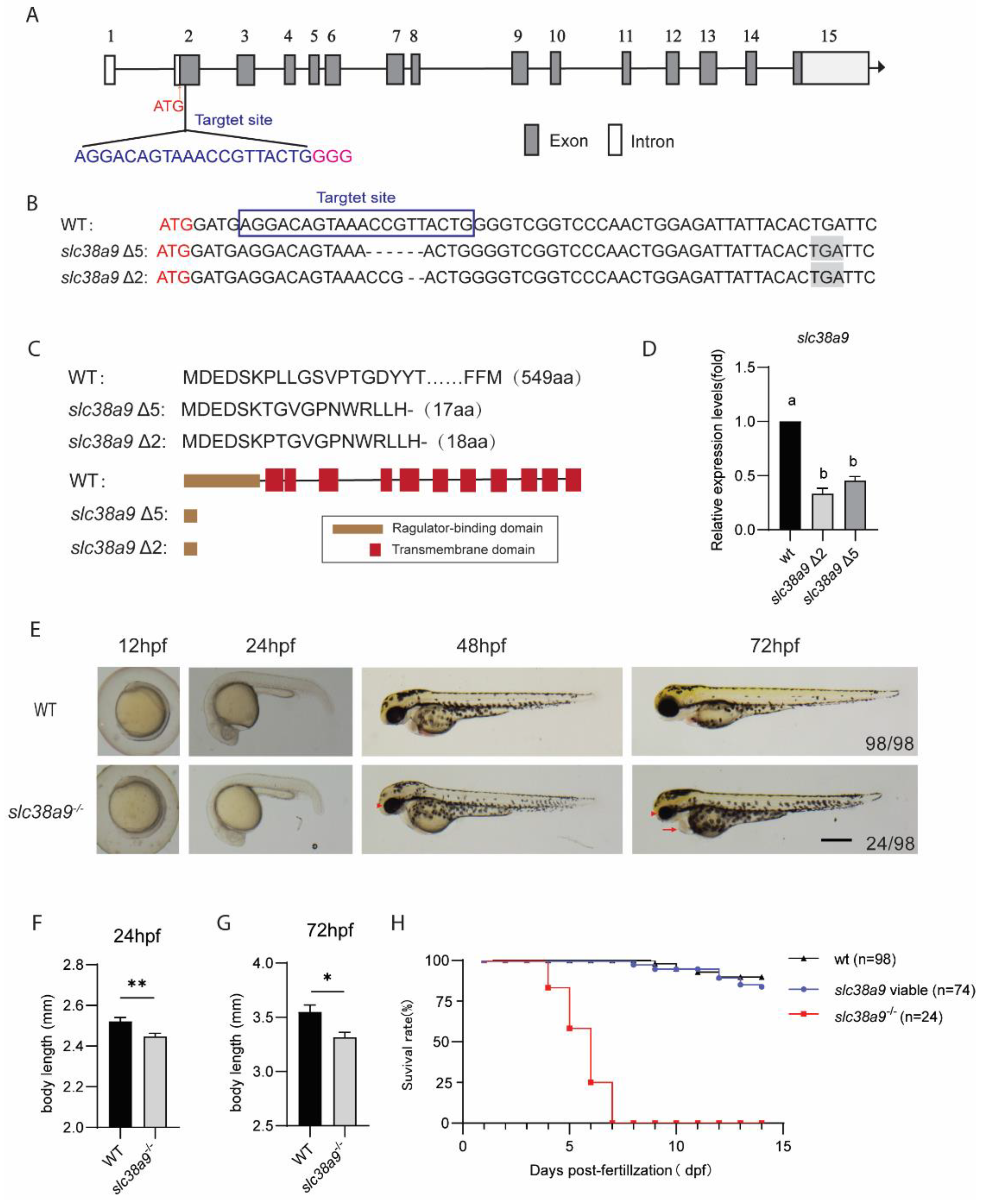 Ijms 23 04200 g002 Ijms 23 04200 g002