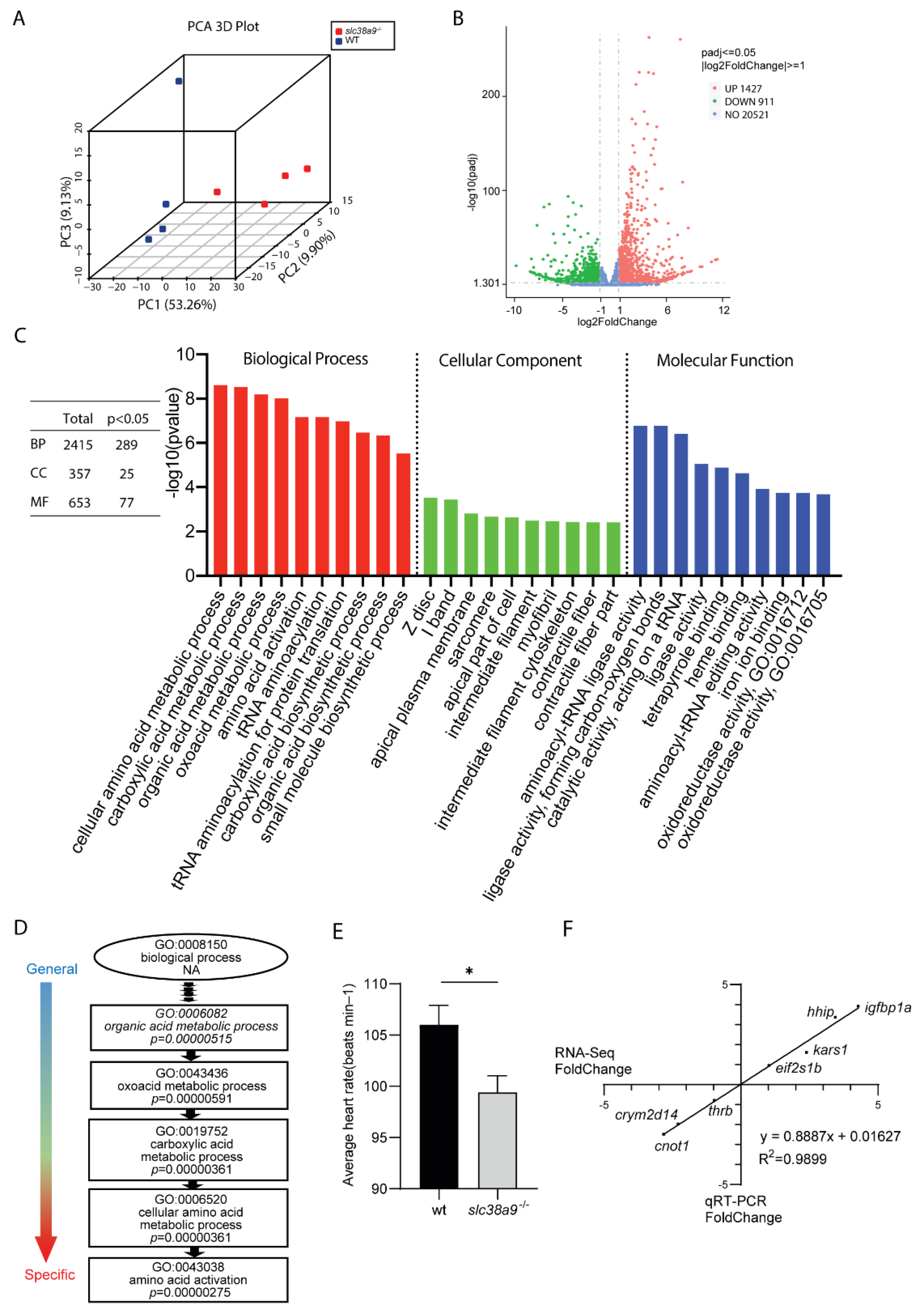 Ijms 23 04200 g003 Ijms 23 04200 g003
