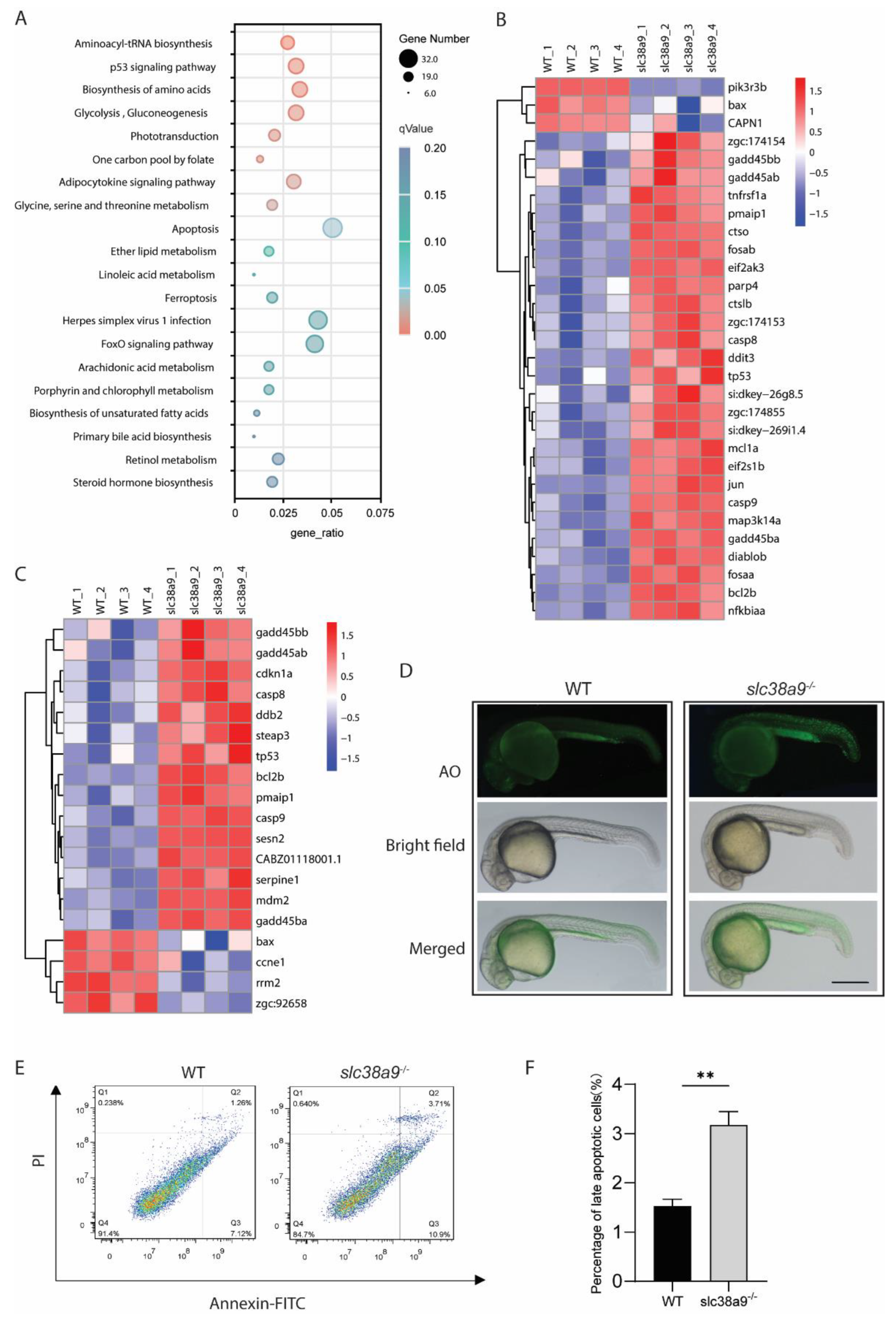 Ijms 23 04200 g004 Ijms 23 04200 g004