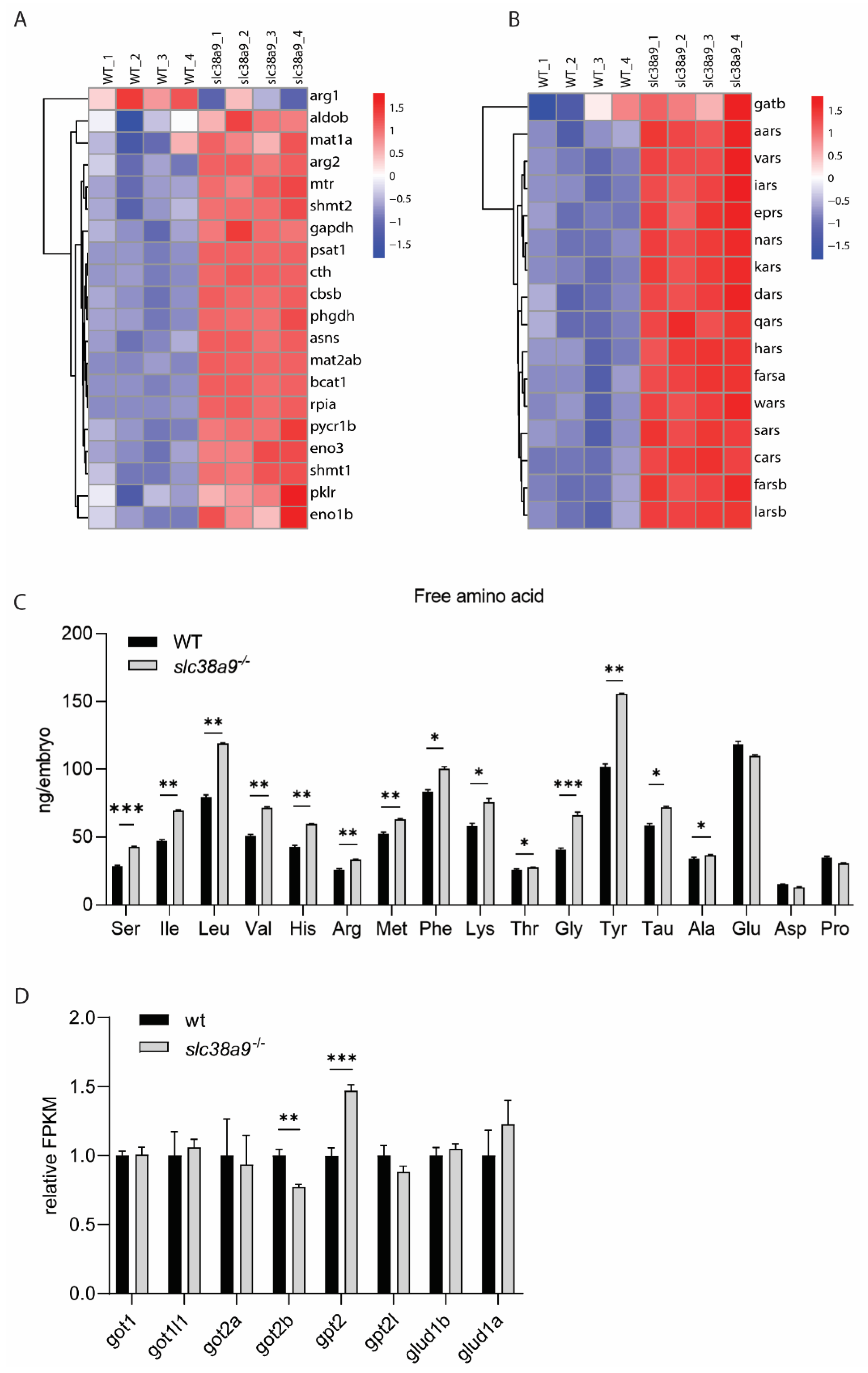 Ijms 23 04200 g005 Ijms 23 04200 g005