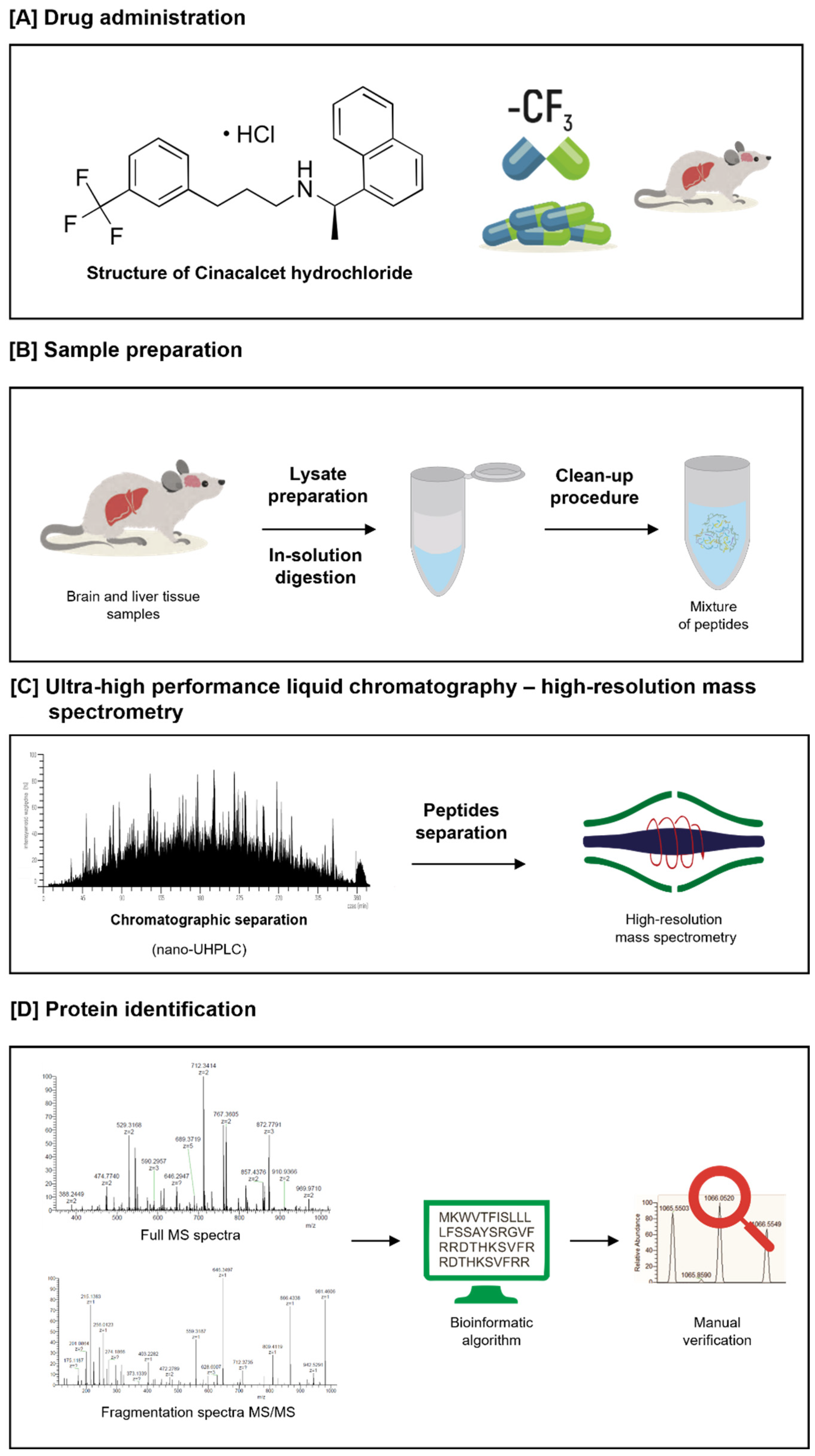 Ijms 23 04202 g002 Ijms 23 04202 g002
