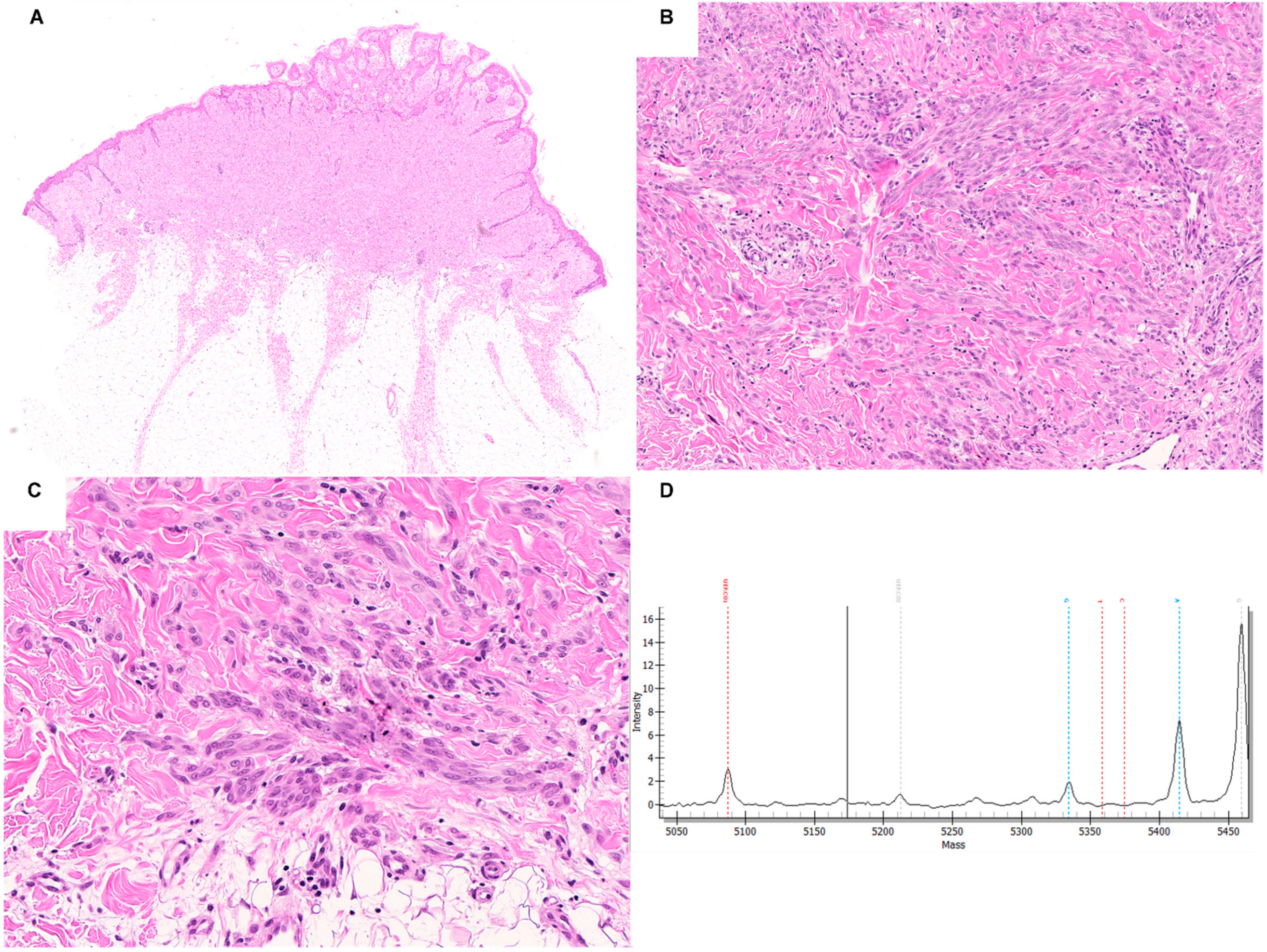 Ijms 23 04211 g002 550