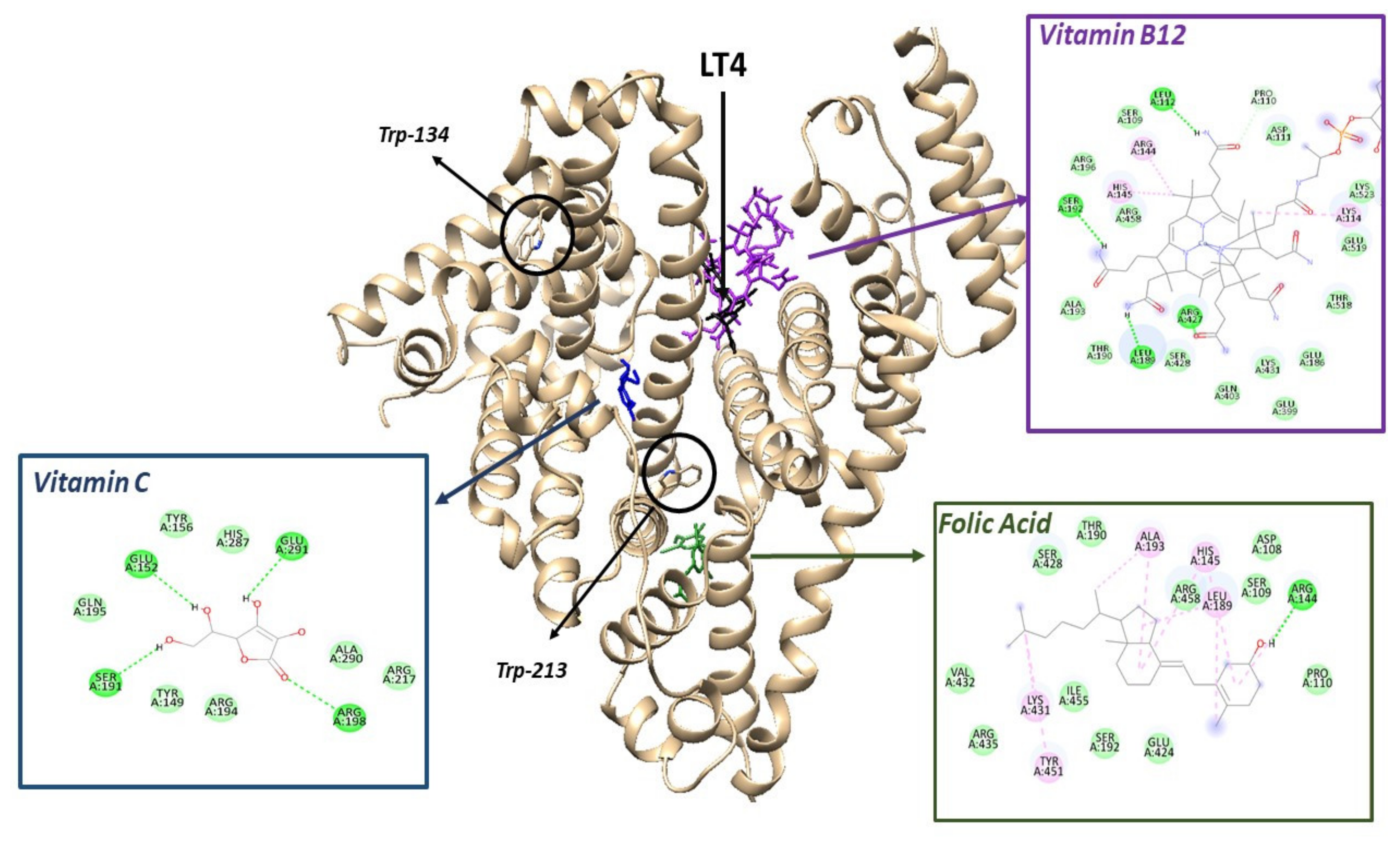 Ijms 23 04215 g008 550