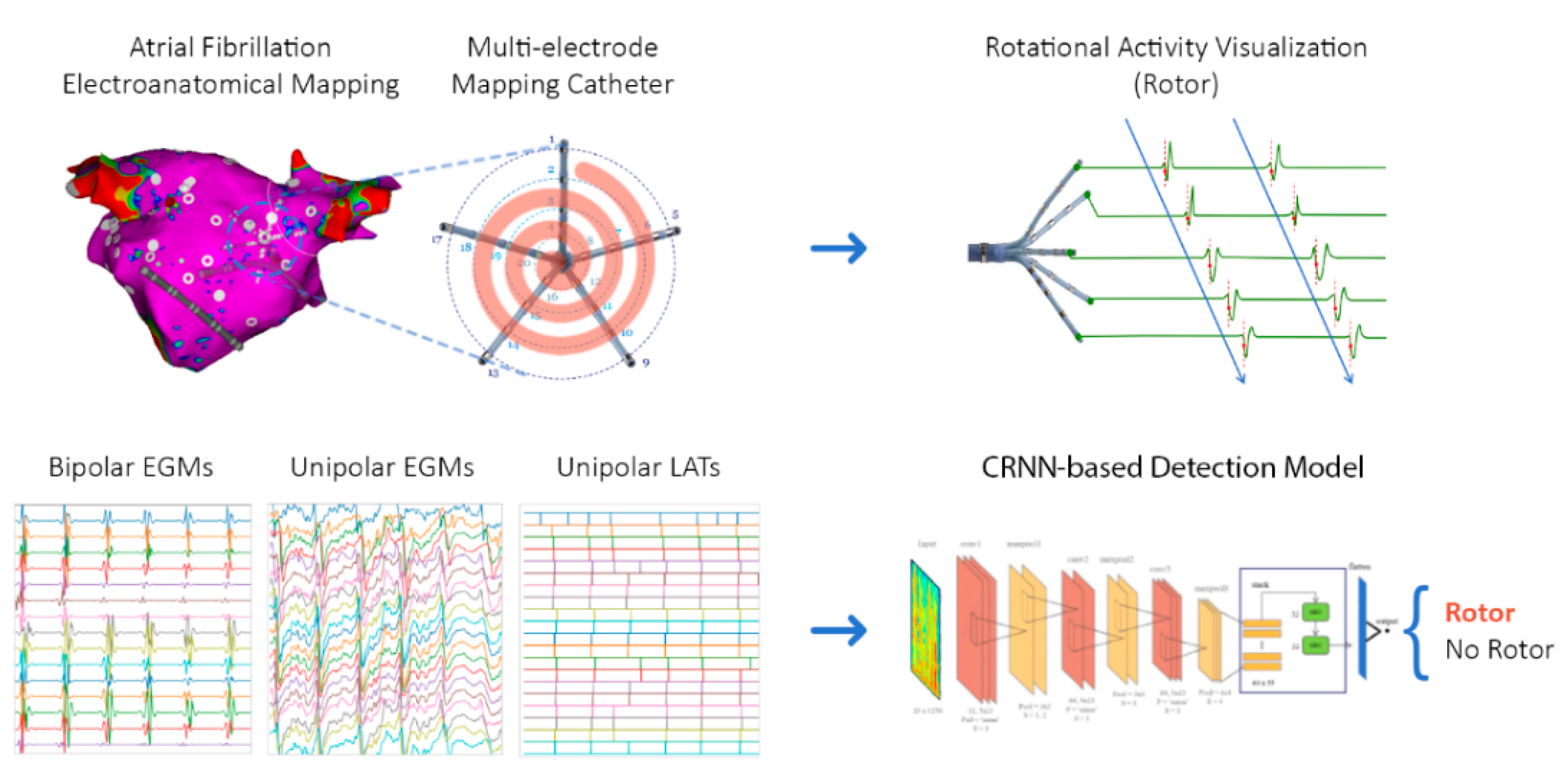 Ijms 23 04216 g001 550