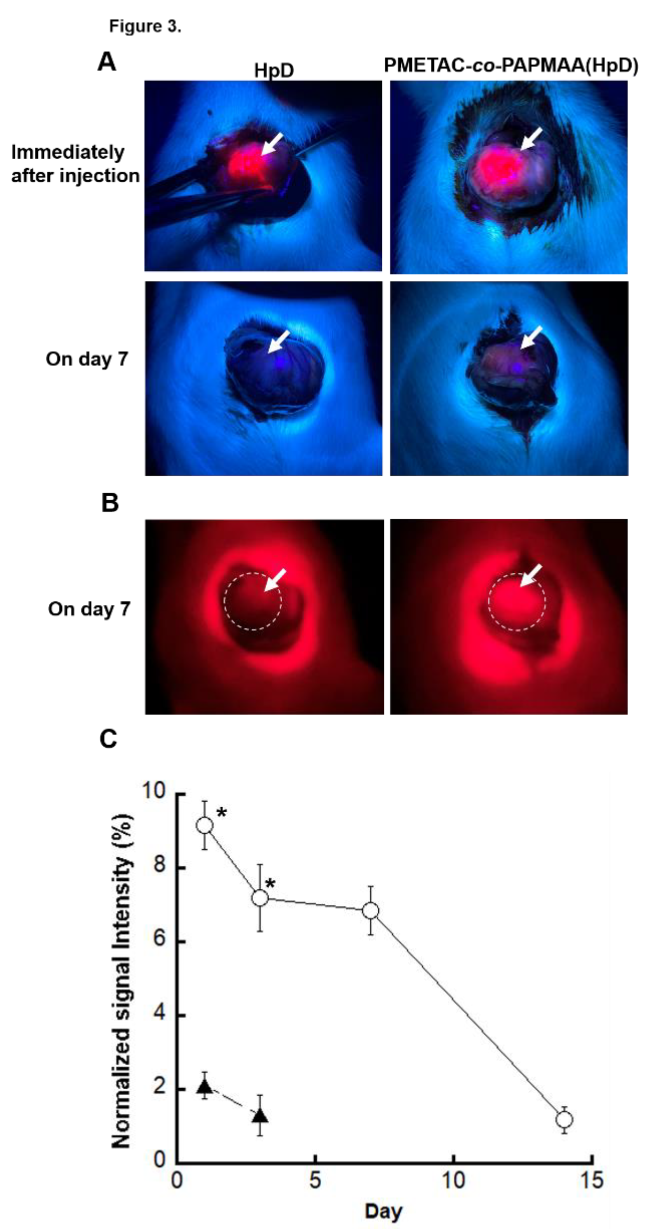 Ijms 23 04218 g004 550