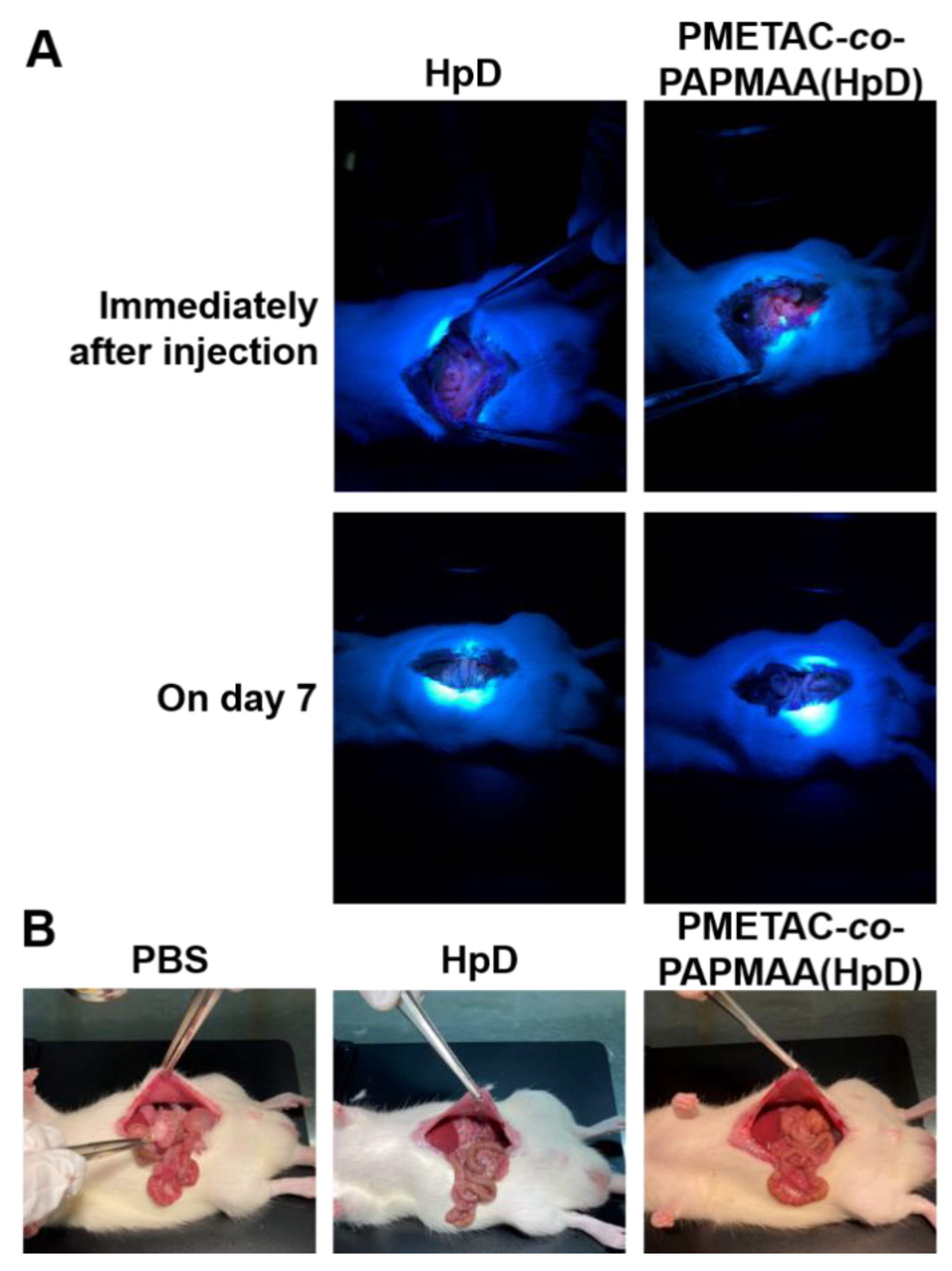 Ijms 23 04218 g005 550