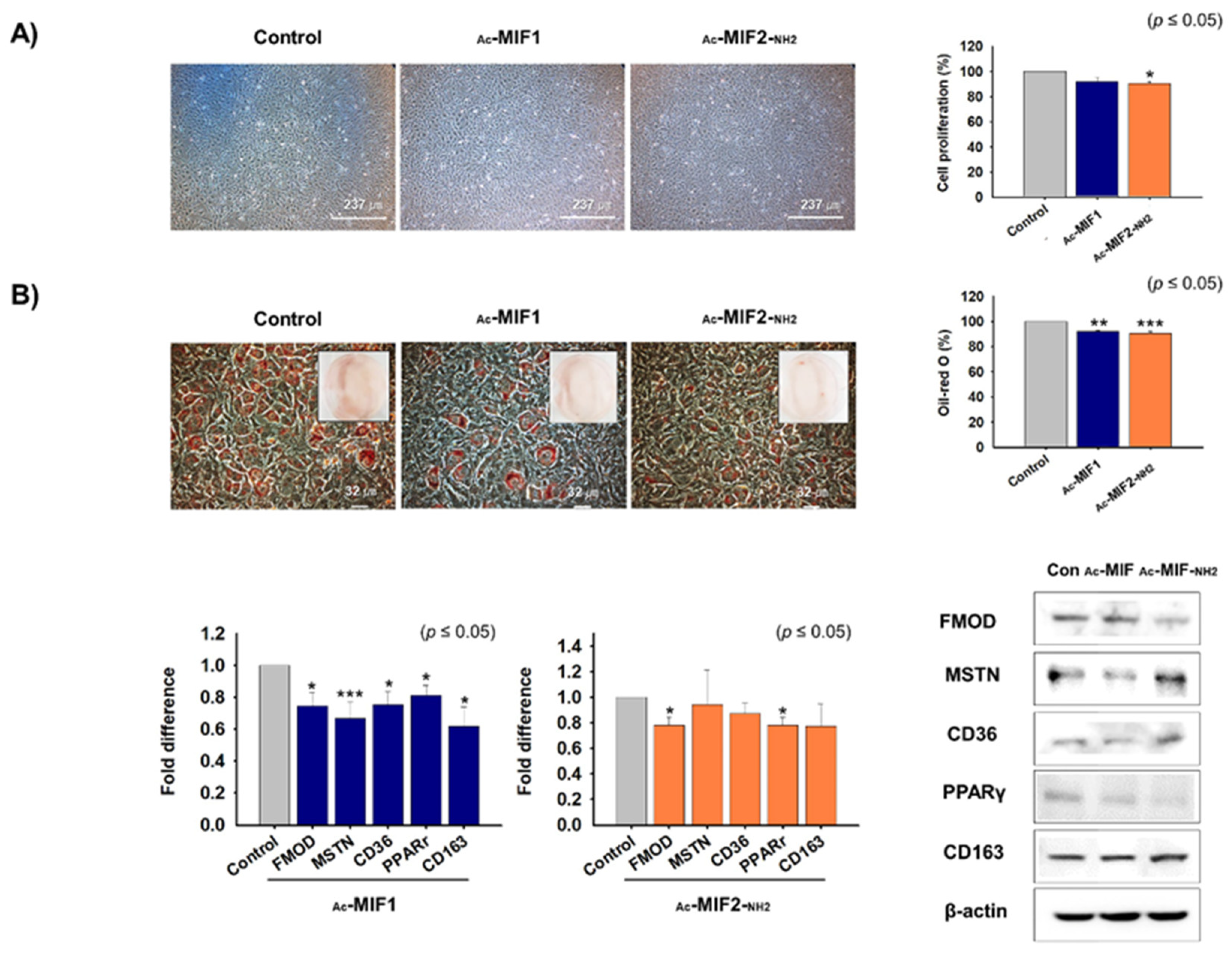 Ijms 23 04222 g007 550