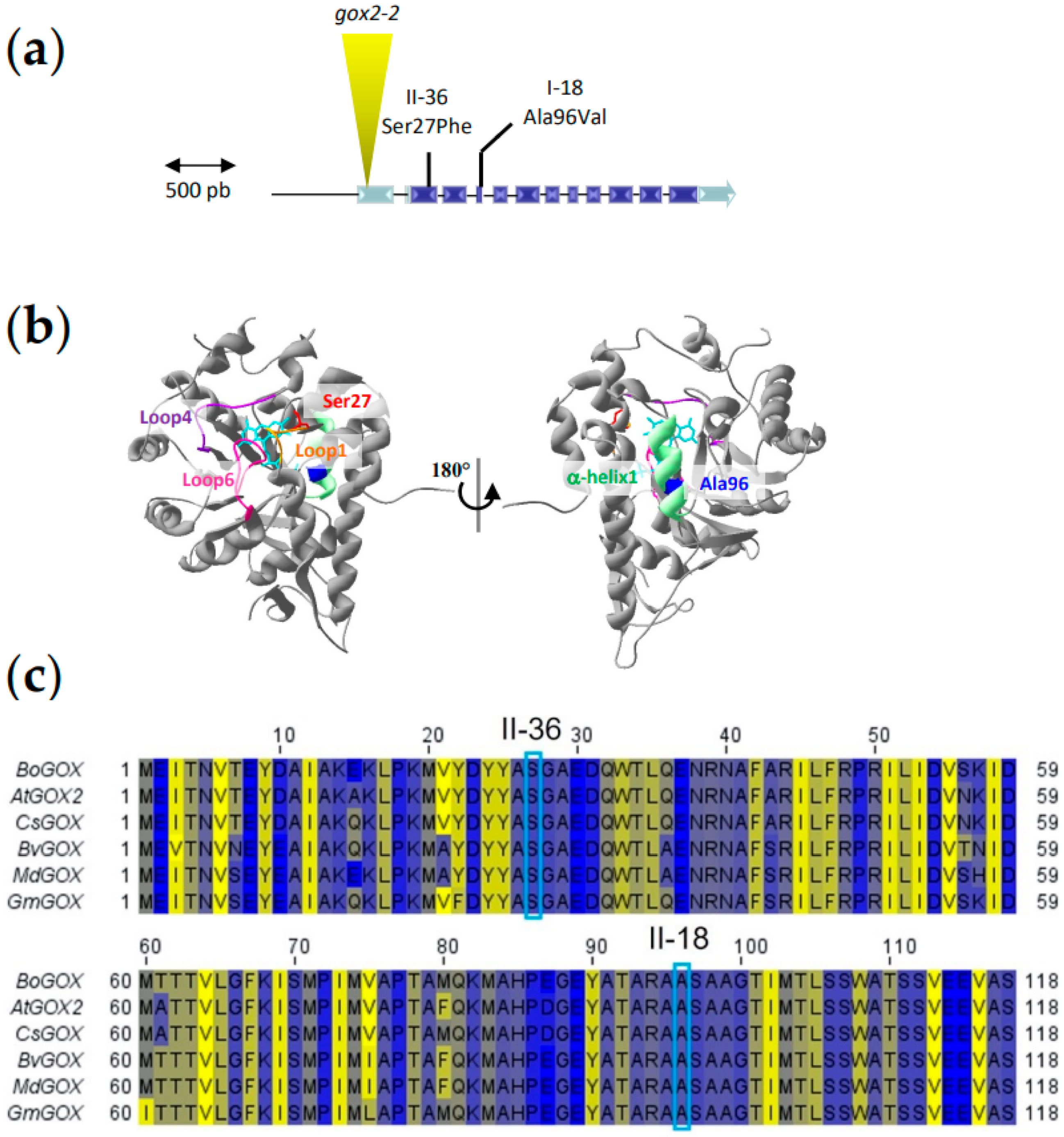 Ijms 23 04224 g004 550