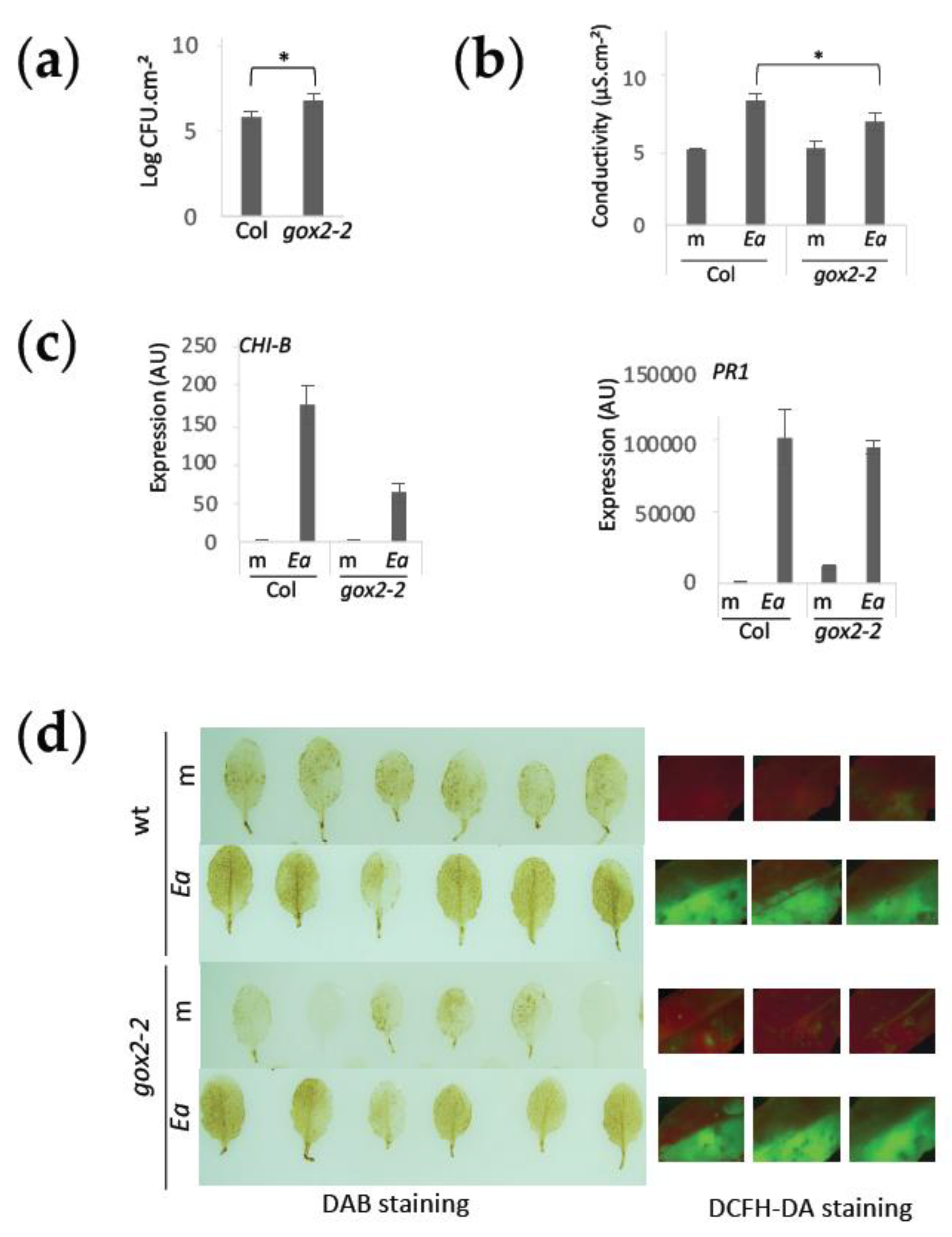 Ijms 23 04224 g006 550