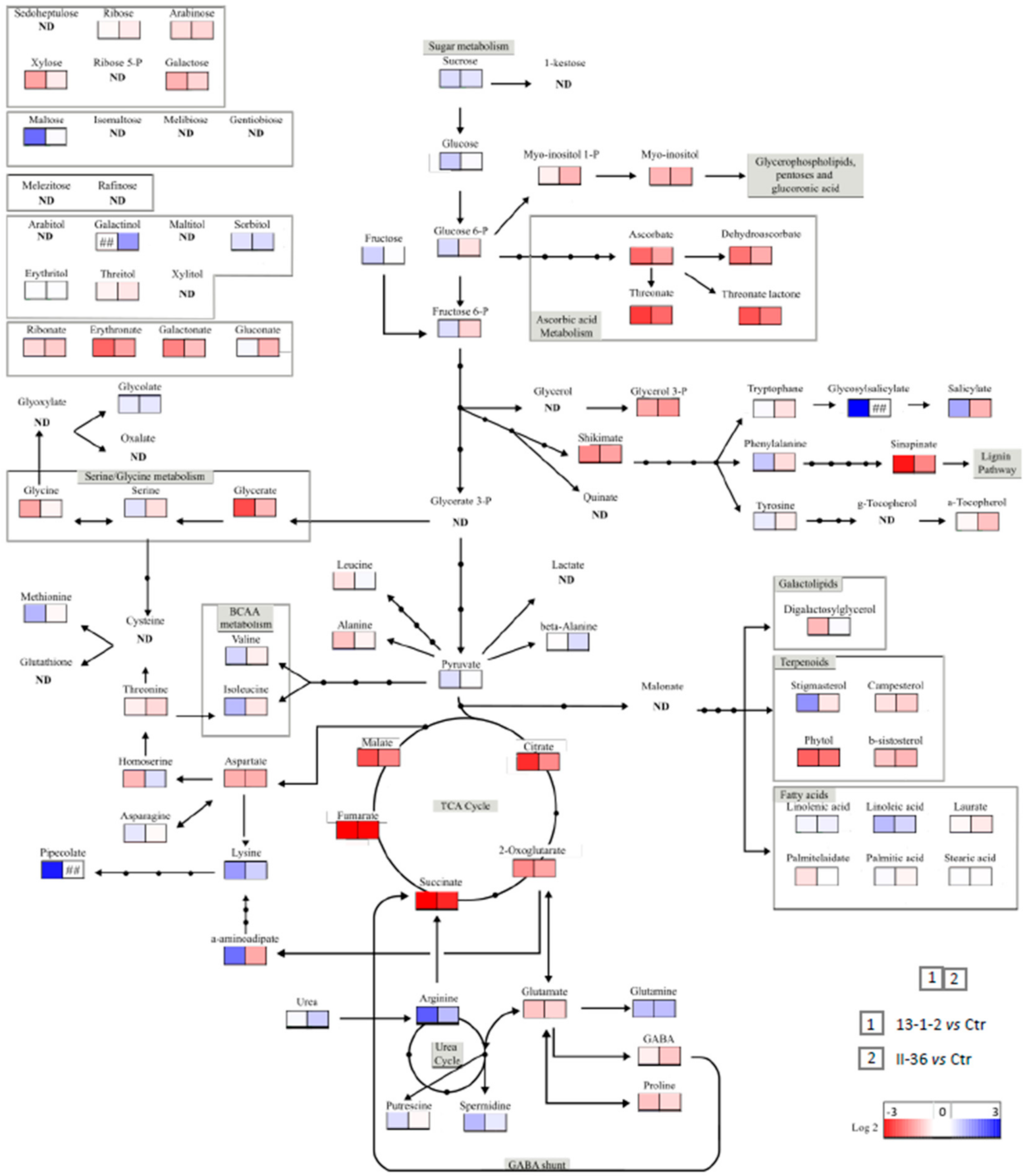 Ijms 23 04224 g009 550