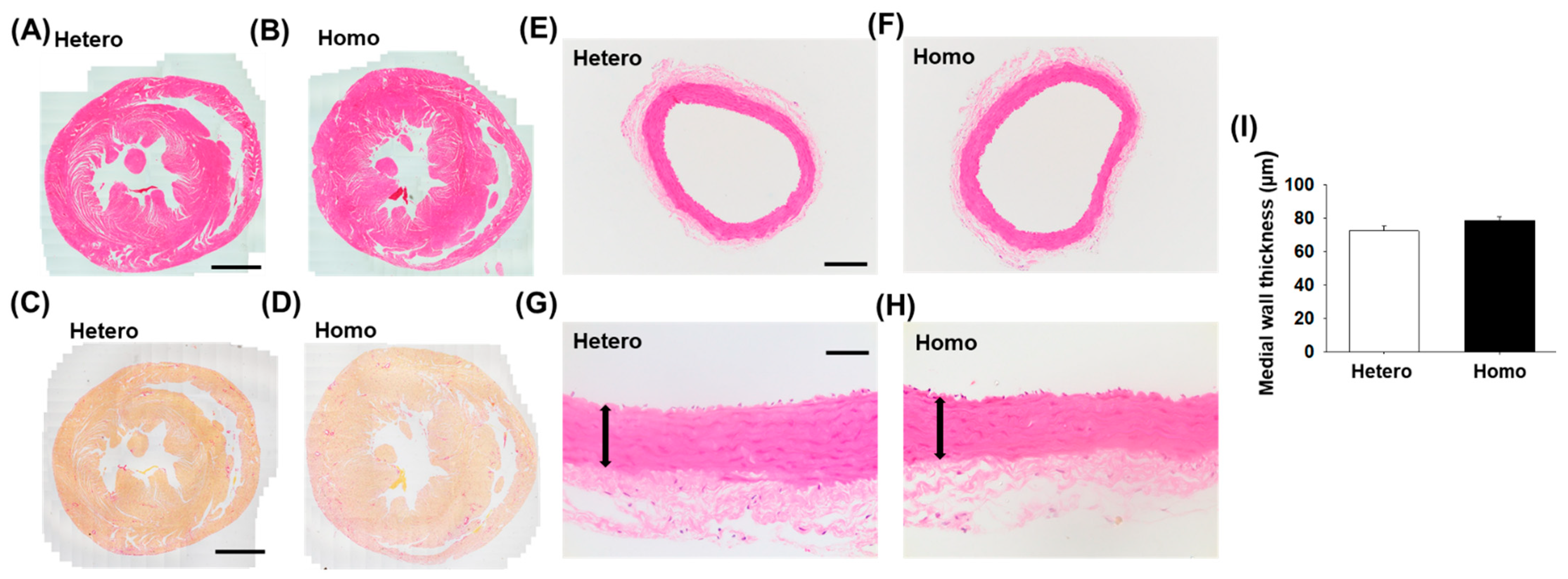 Ijms 23 04228 g003 550