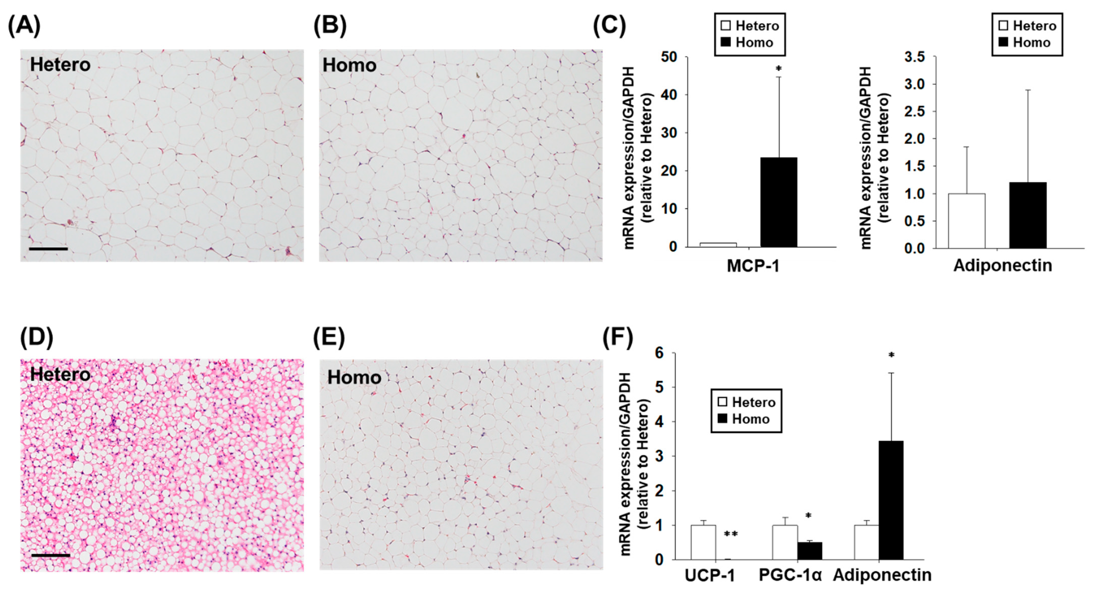 Ijms 23 04228 g004 550