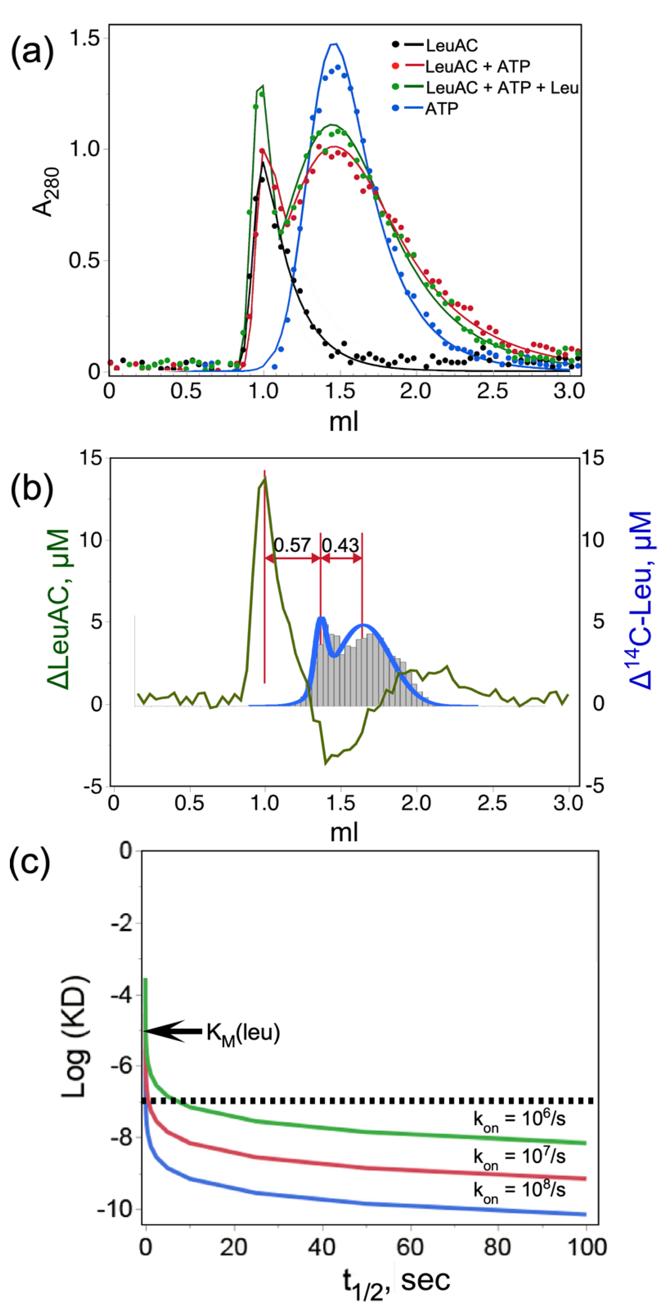 Ijms 23 04229 g004 Ijms 23 04229 g004