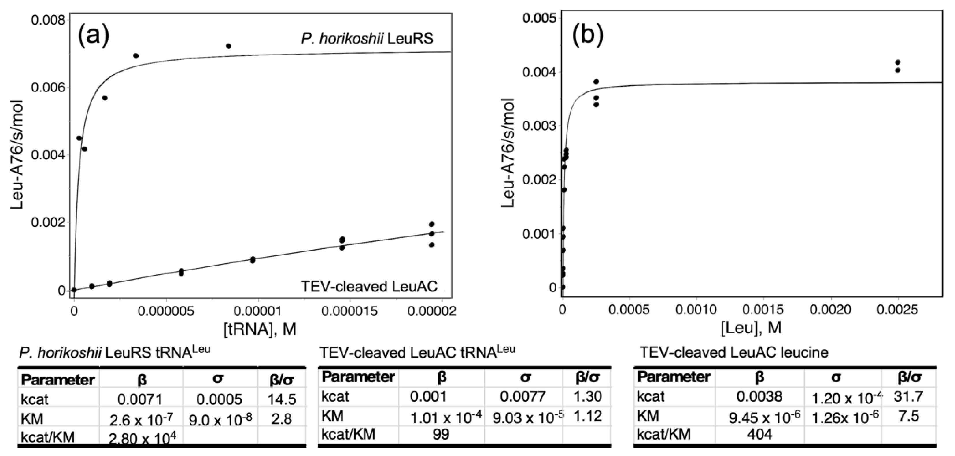 Ijms 23 04229 g008 Ijms 23 04229 g008