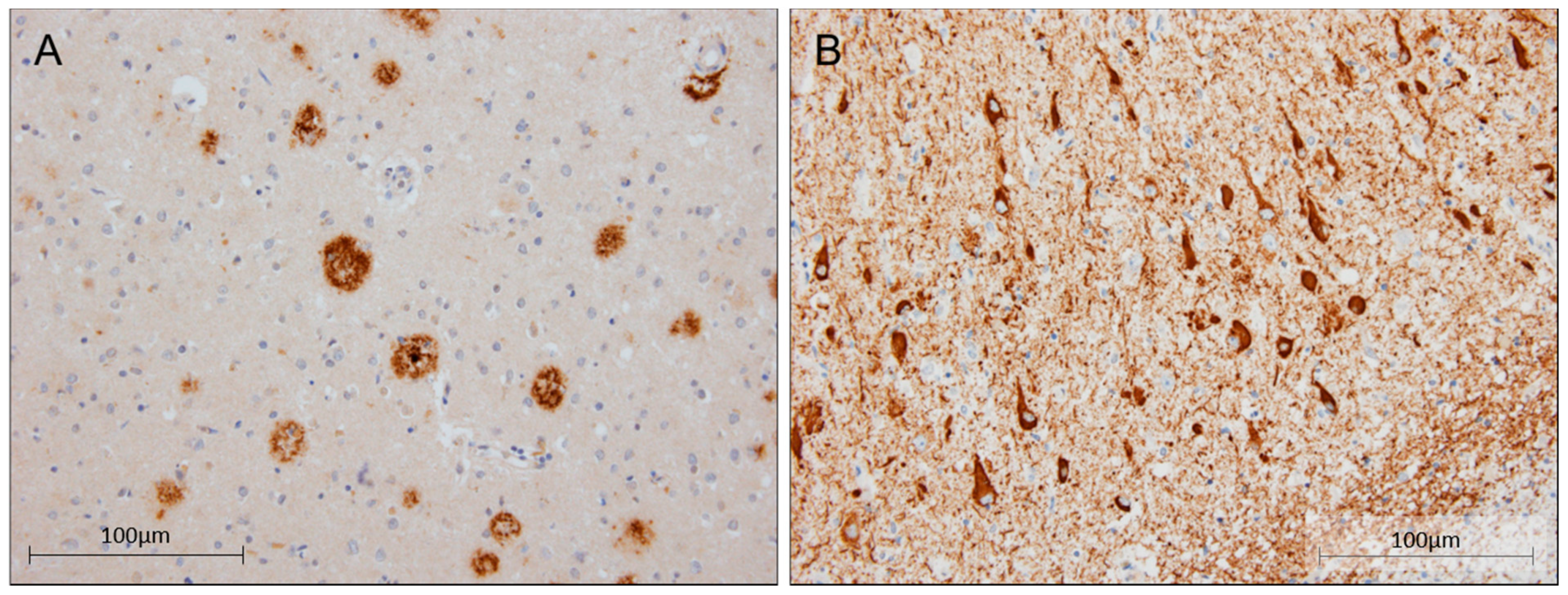 Ijms 23 04230 g004 550