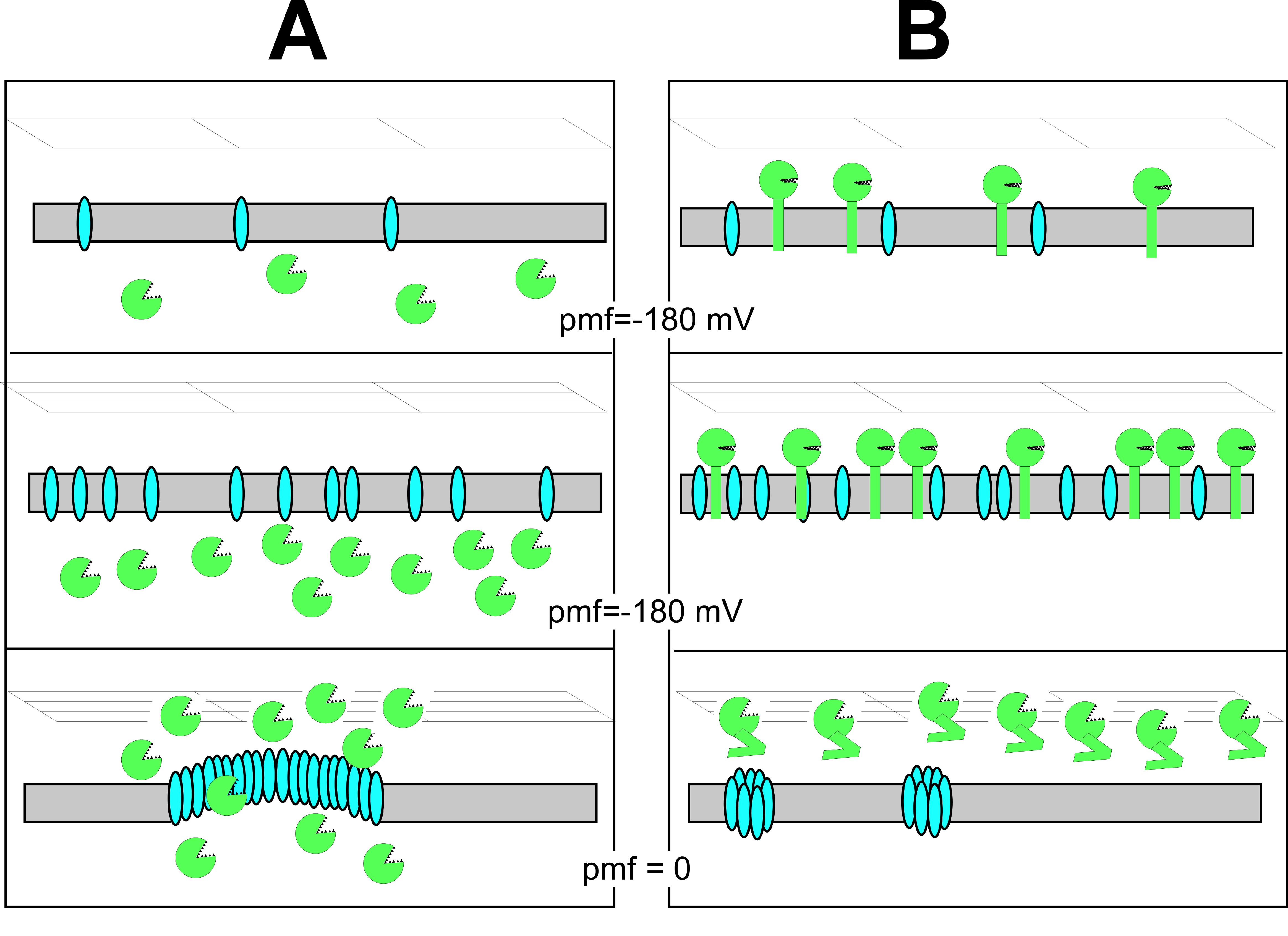 Ijms 23 04231 g001 Ijms 23 04231 g001