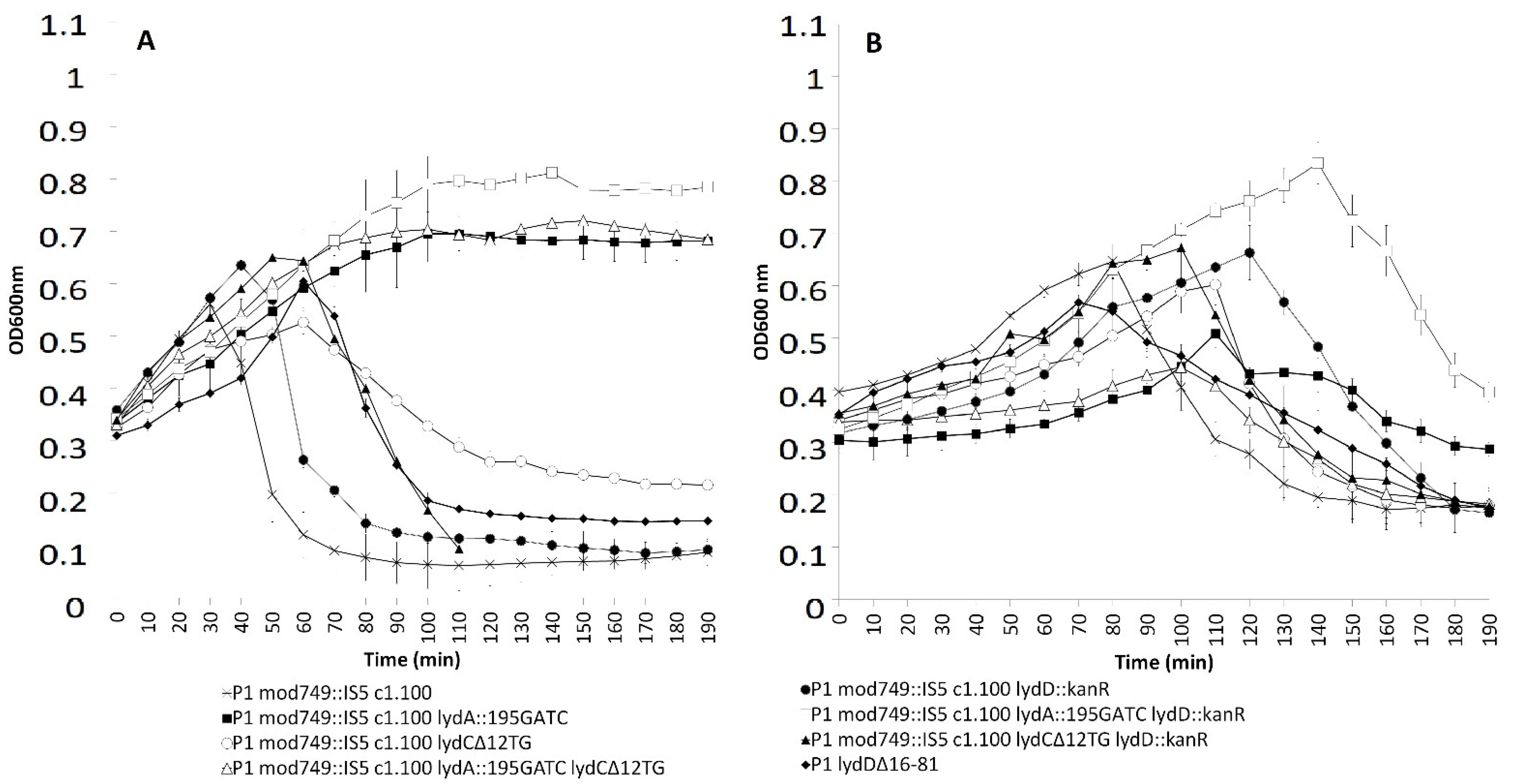 Ijms 23 04231 g004 Ijms 23 04231 g004