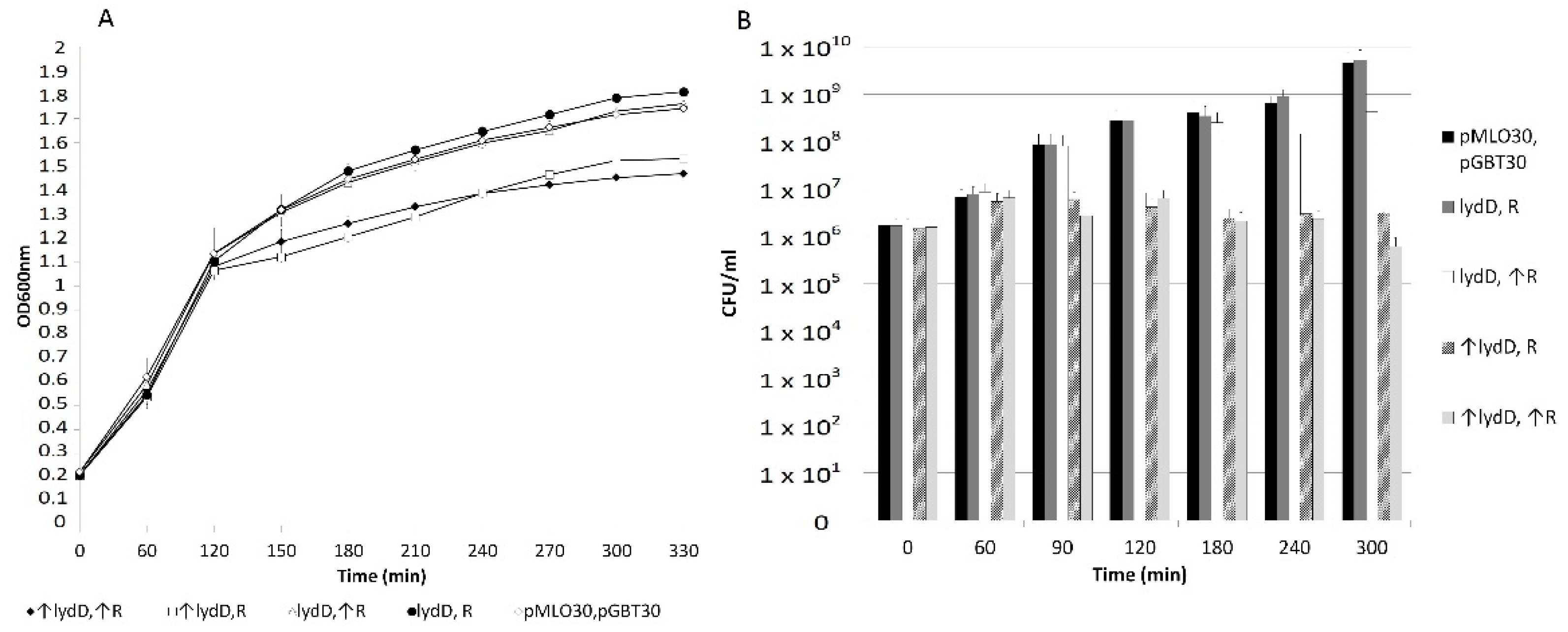 Ijms 23 04231 g006 Ijms 23 04231 g006