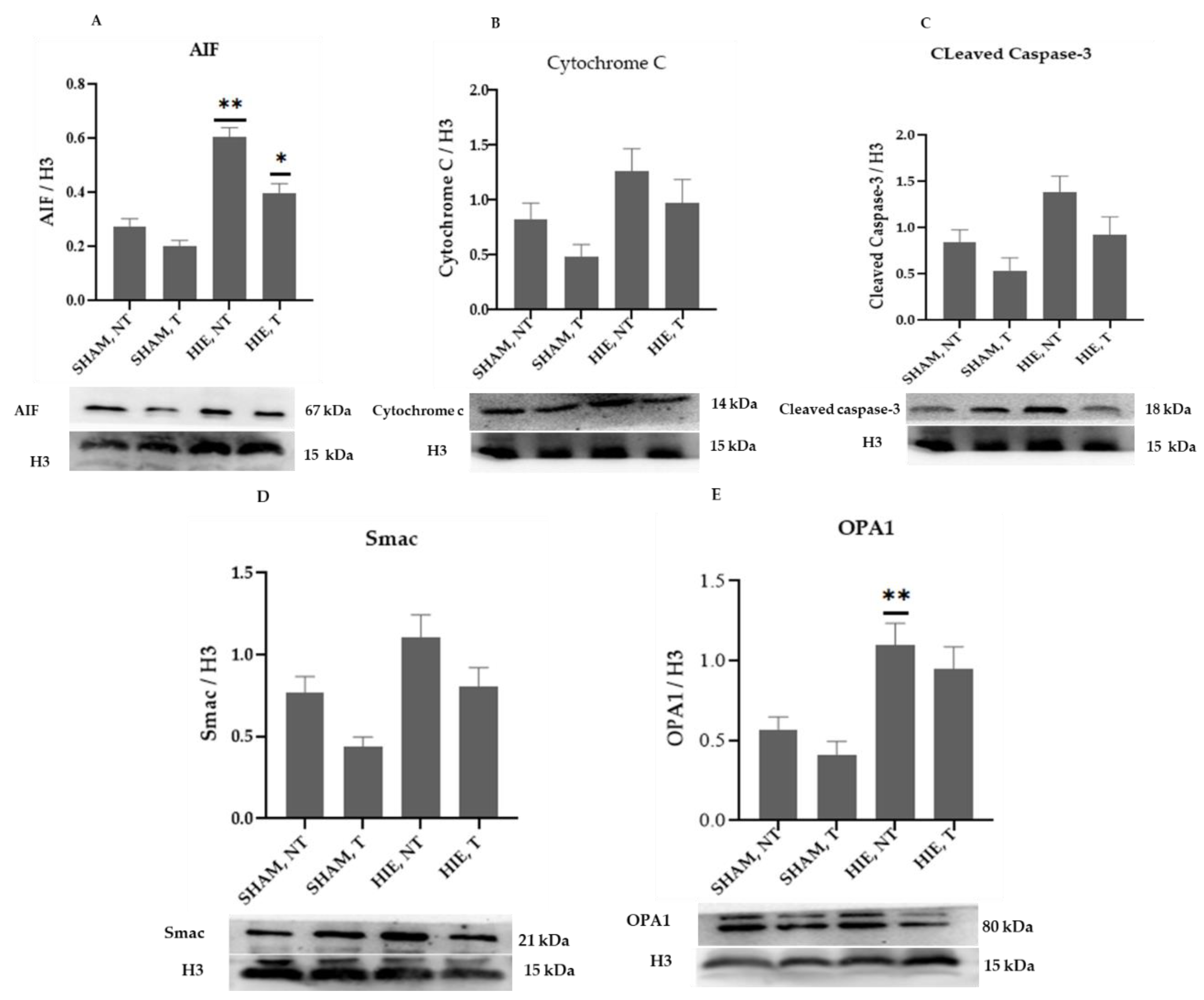 Ijms 23 04235 g003 550
