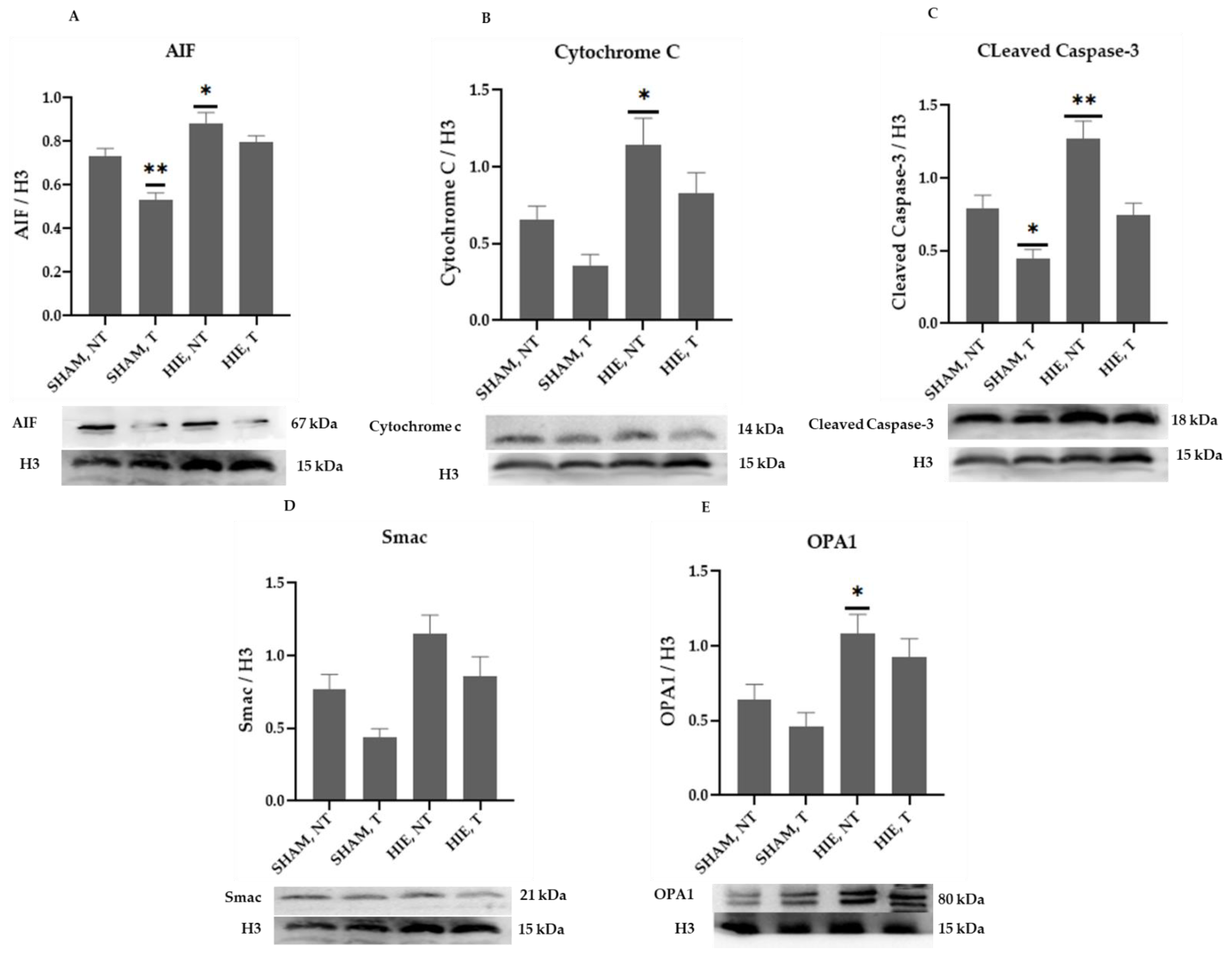 Ijms 23 04235 g005 550