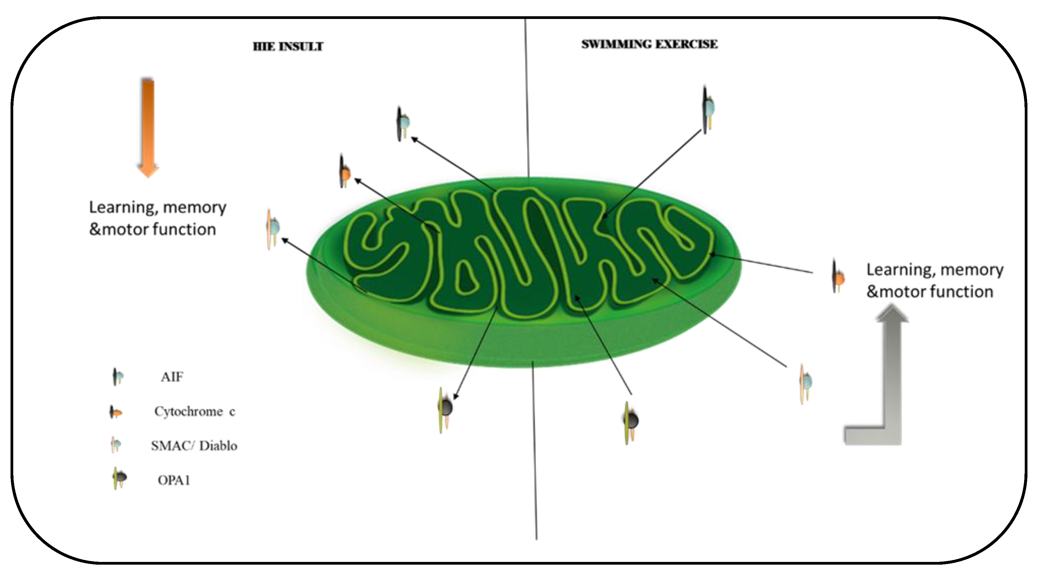 Ijms 23 04235 g007 550