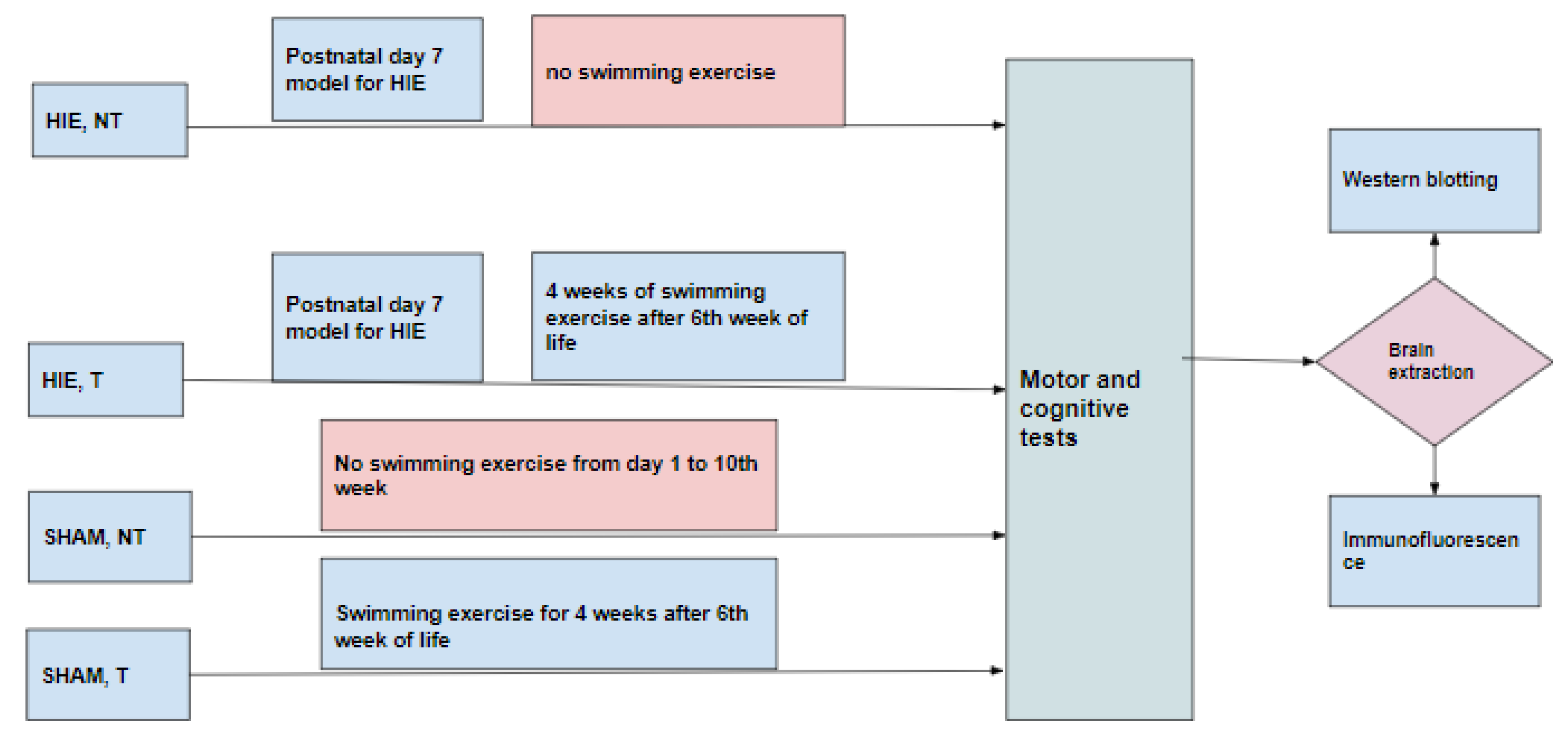 Ijms 23 04235 g008 550