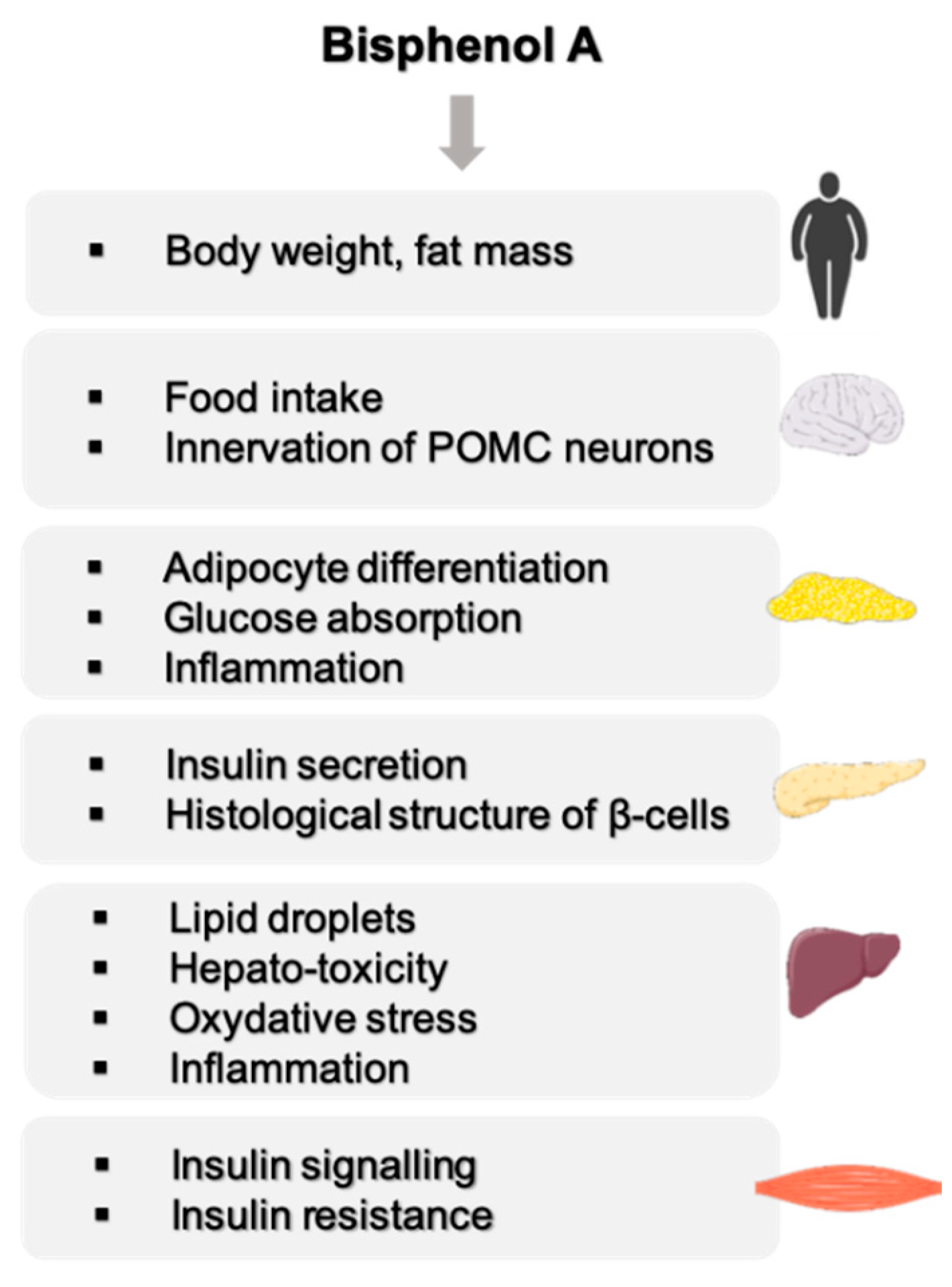 Ijms Free Full Text Are Bpa Substitutes As Obesogenic As Bpa