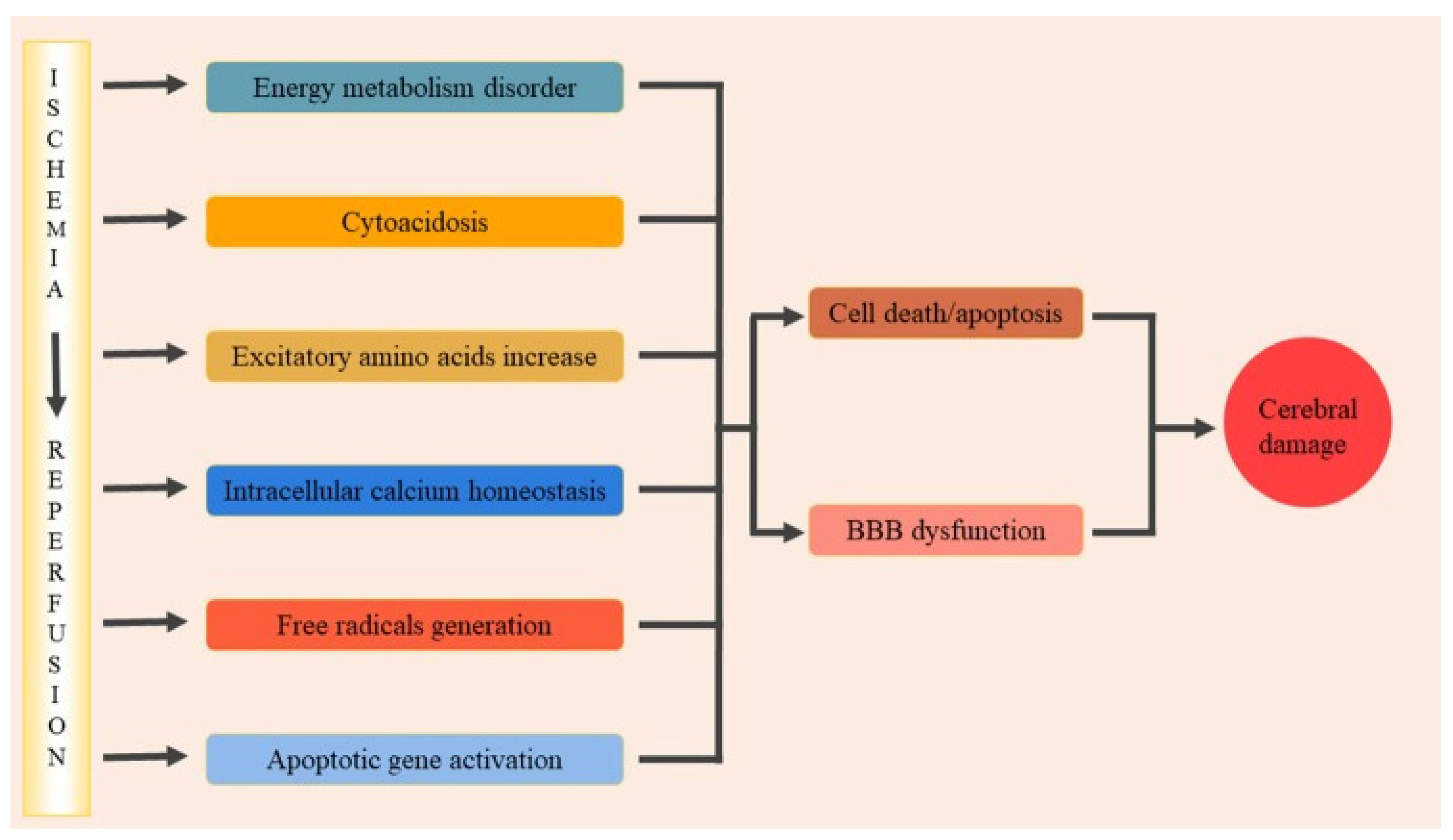 Ijms 23 04243 g001 550
