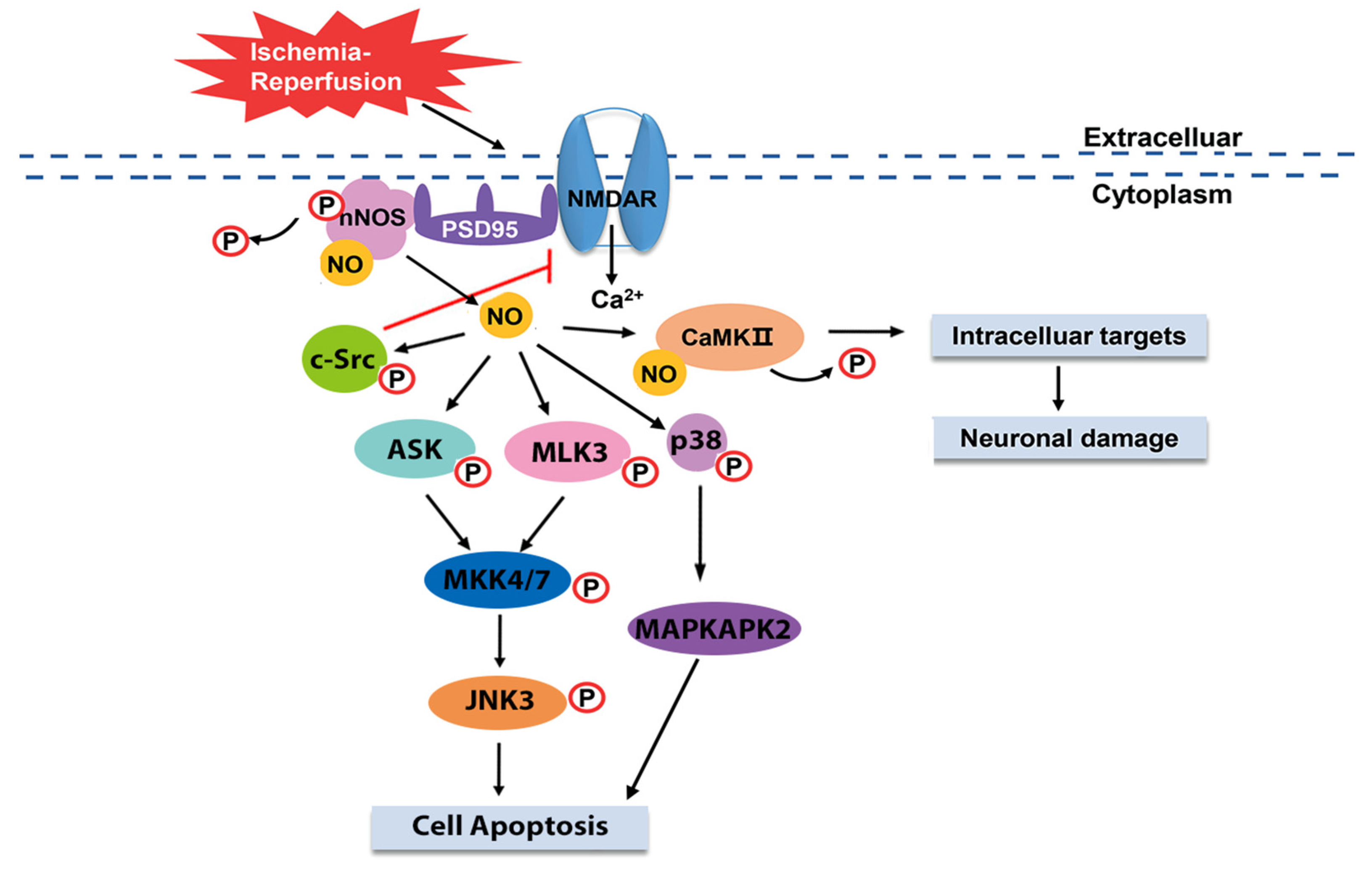 Ijms 23 04243 g002 550