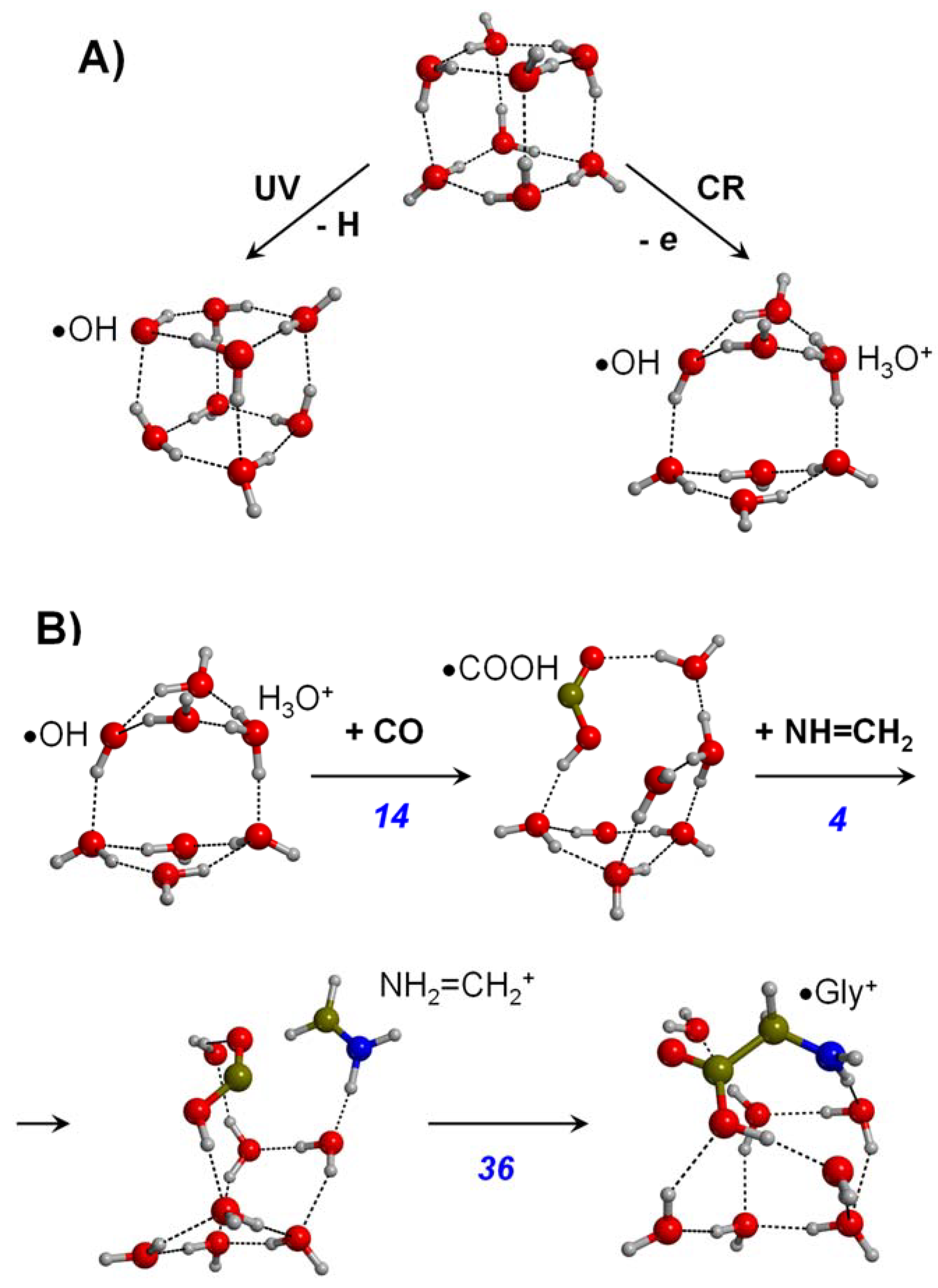 Ijms 23 04252 g003 Ijms 23 04252 g003